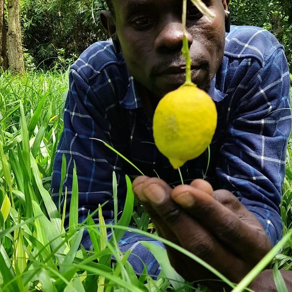 maxwellochieng504 profile photo