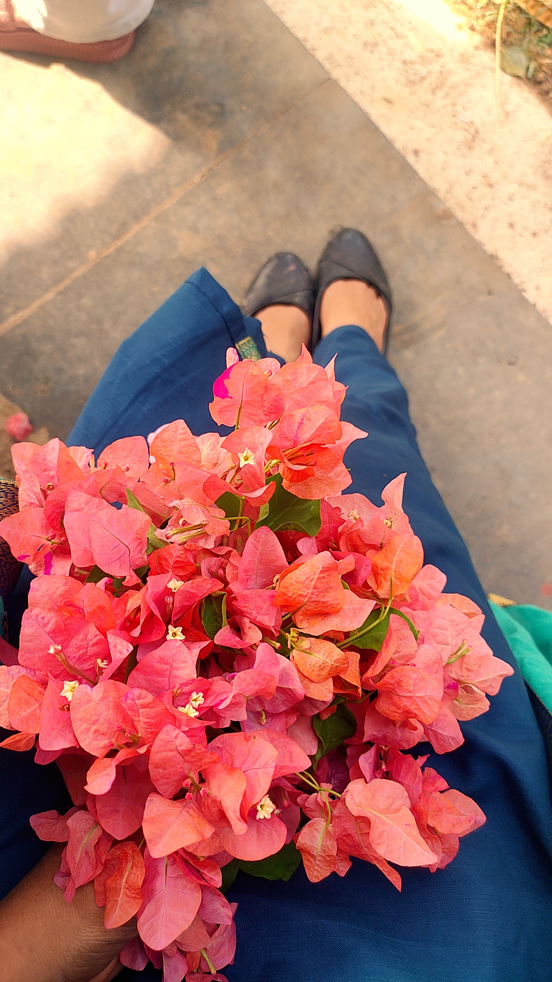 amishanighot2000 profile photo