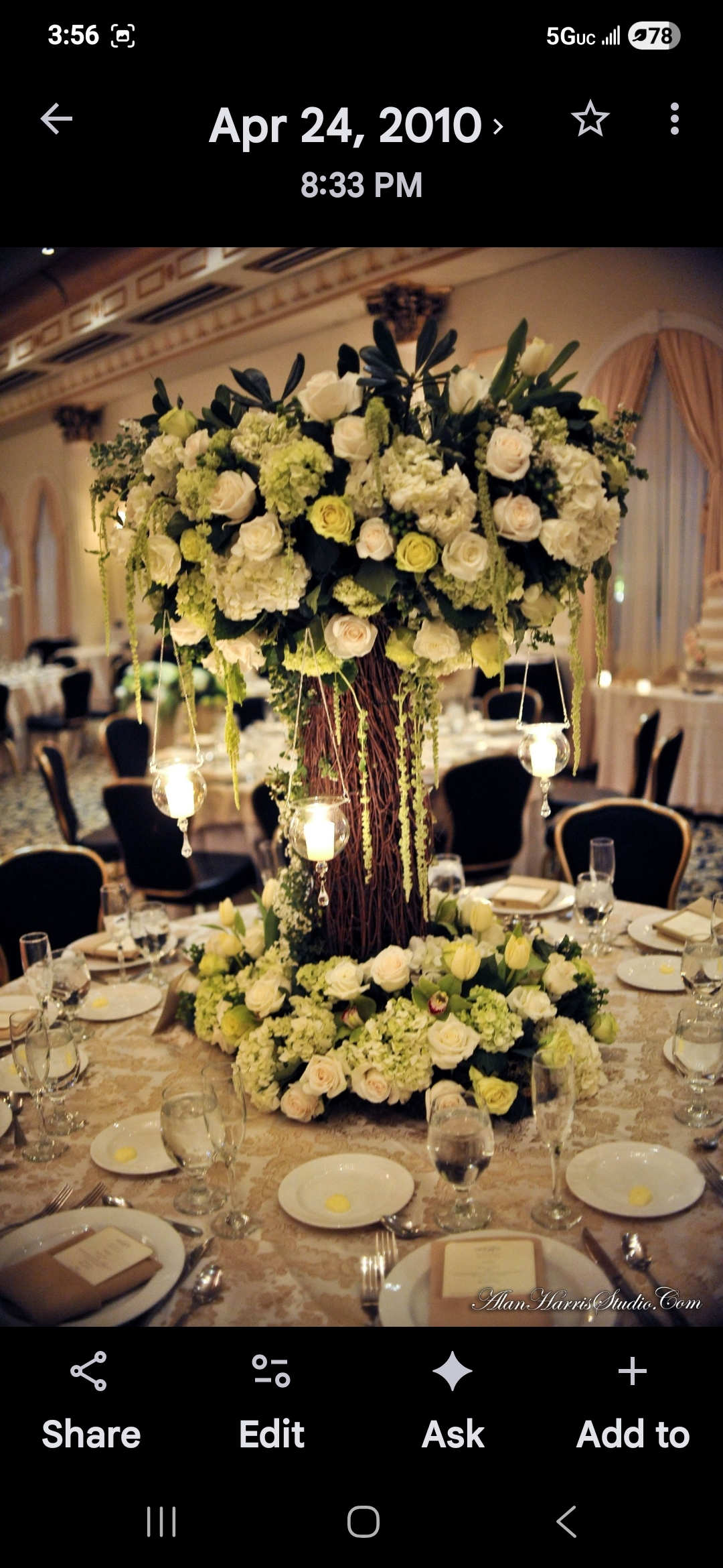 Rooted Affair profile photo