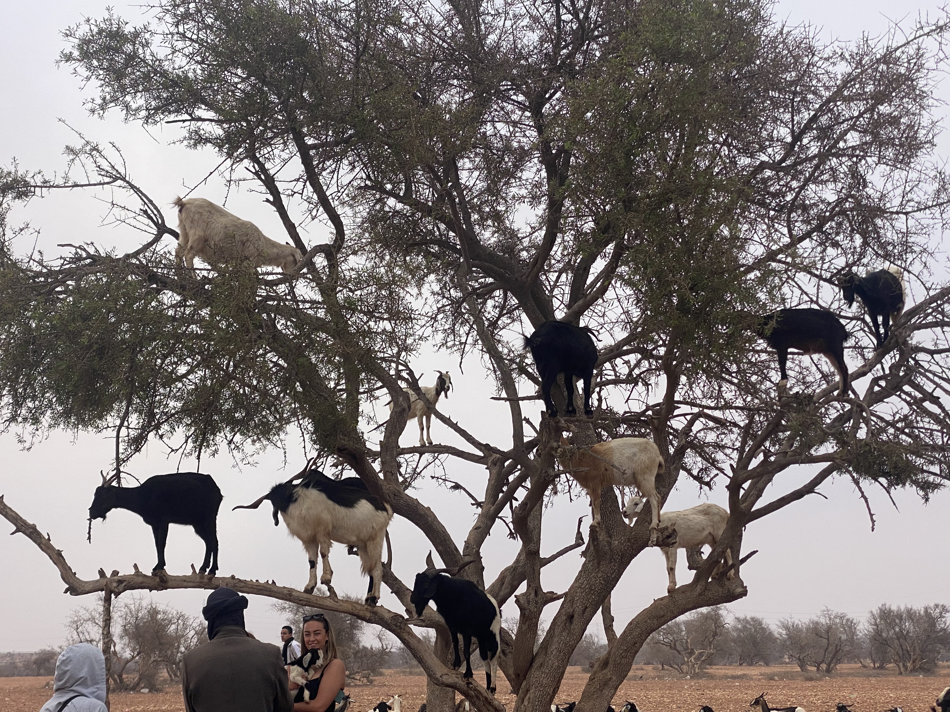 Jessica  profile photo