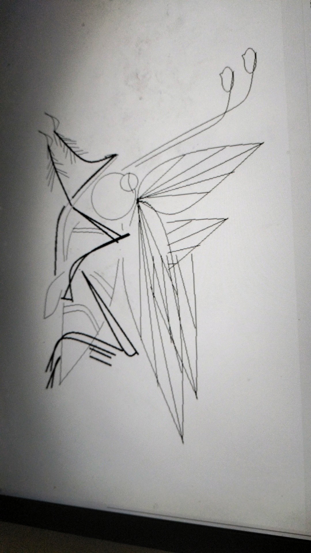 sajalmaity profile photo