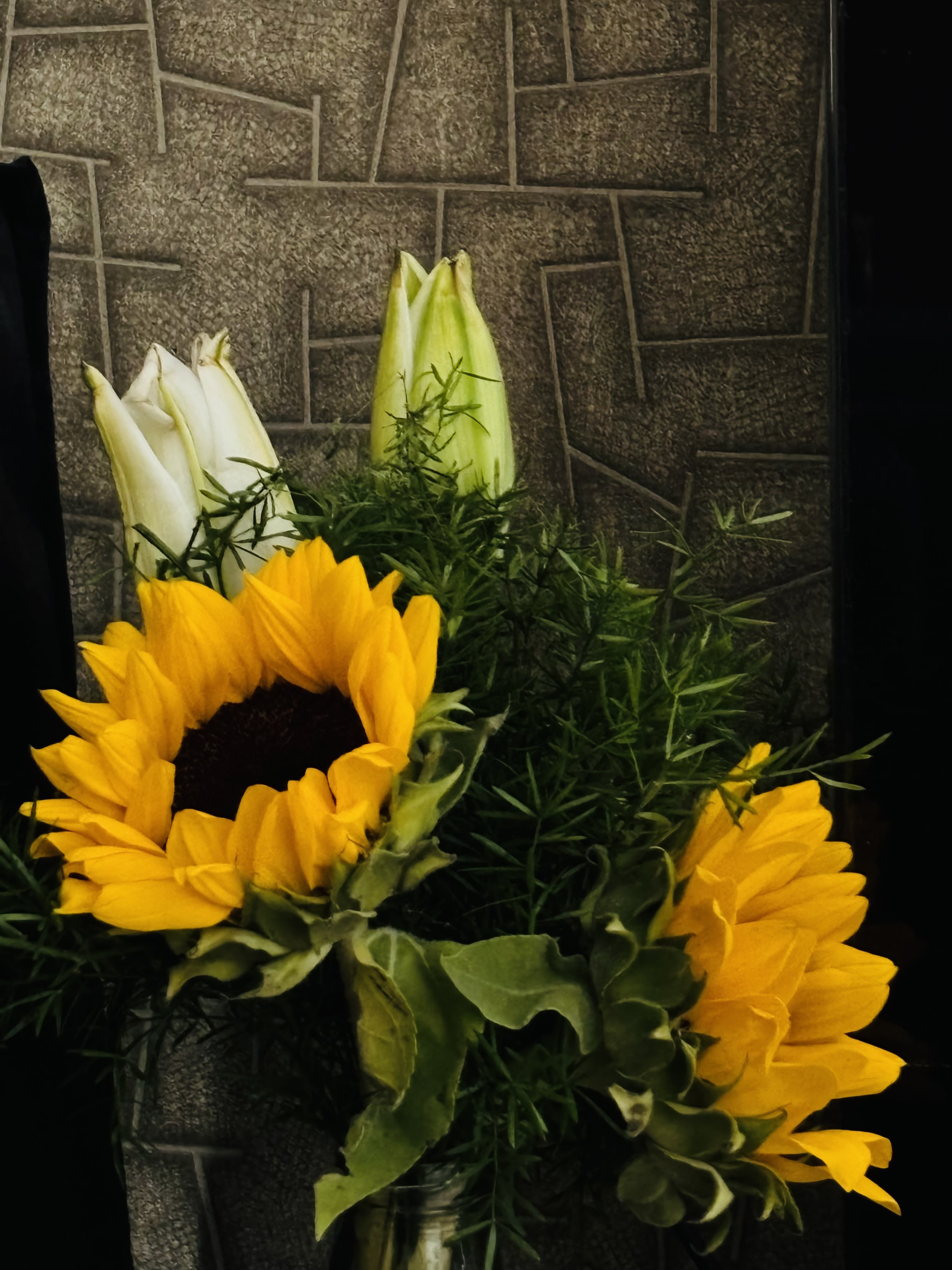 sanjuyadhuvanshi003 profile photo