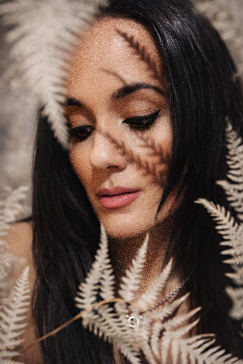 Hummingbird rising  profile photo