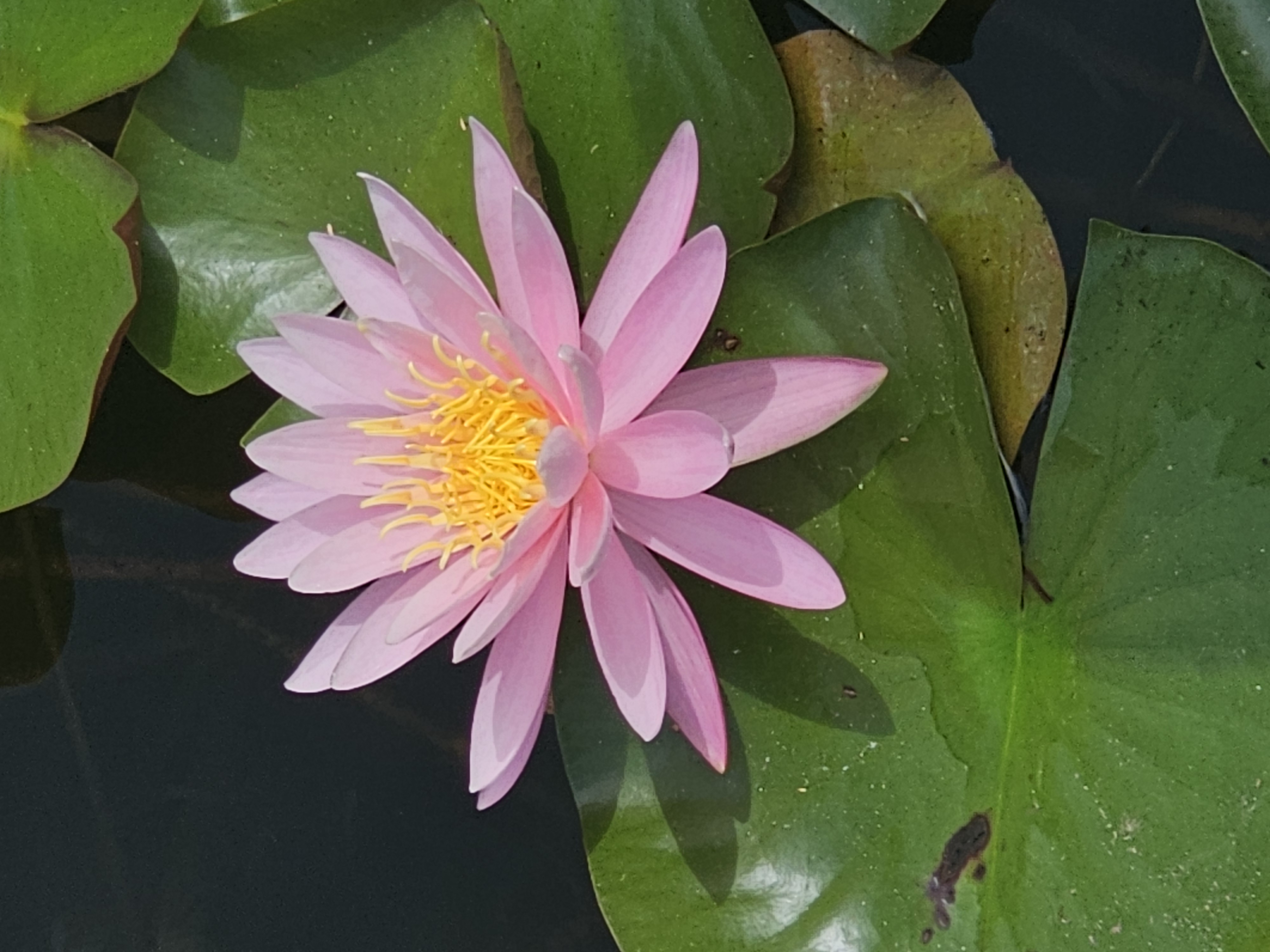 Imaginethat profile photo