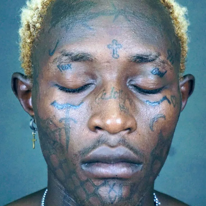 cllipa profile photo