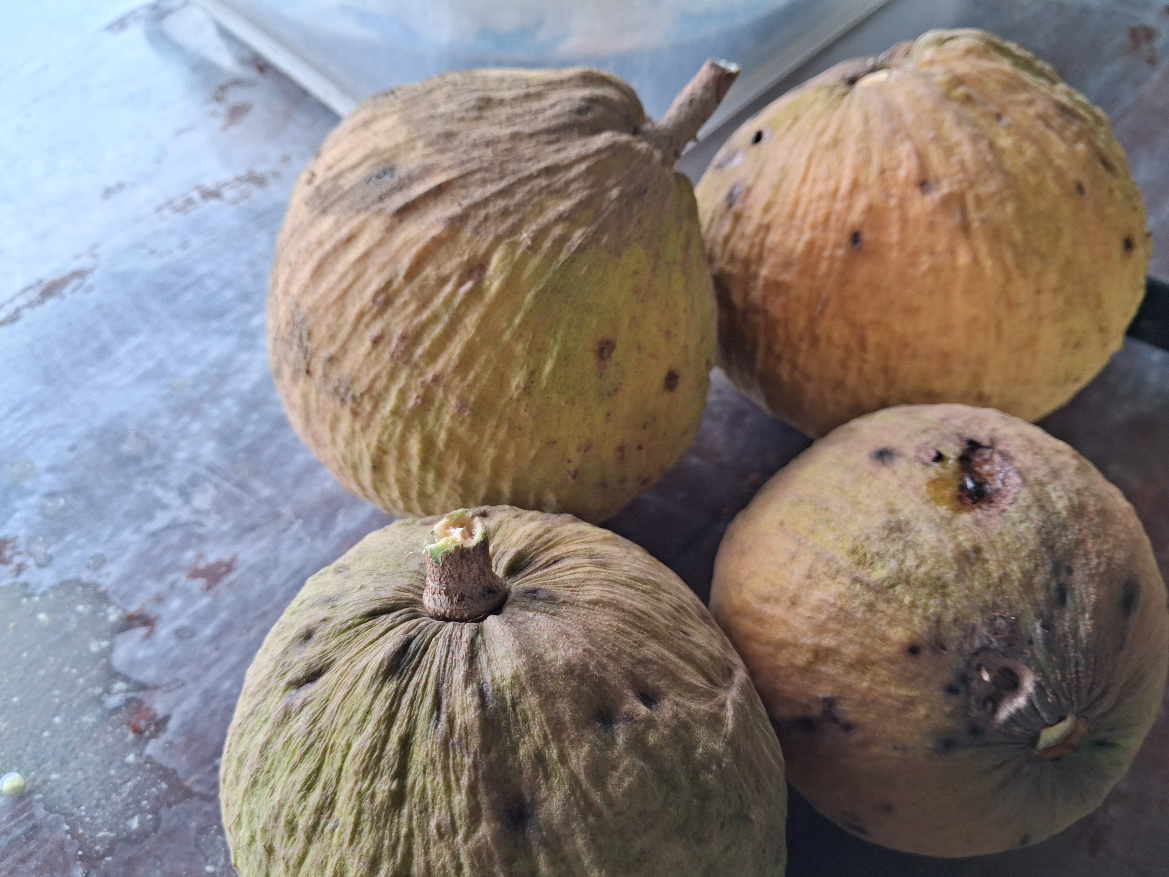 Qentucky profile photo