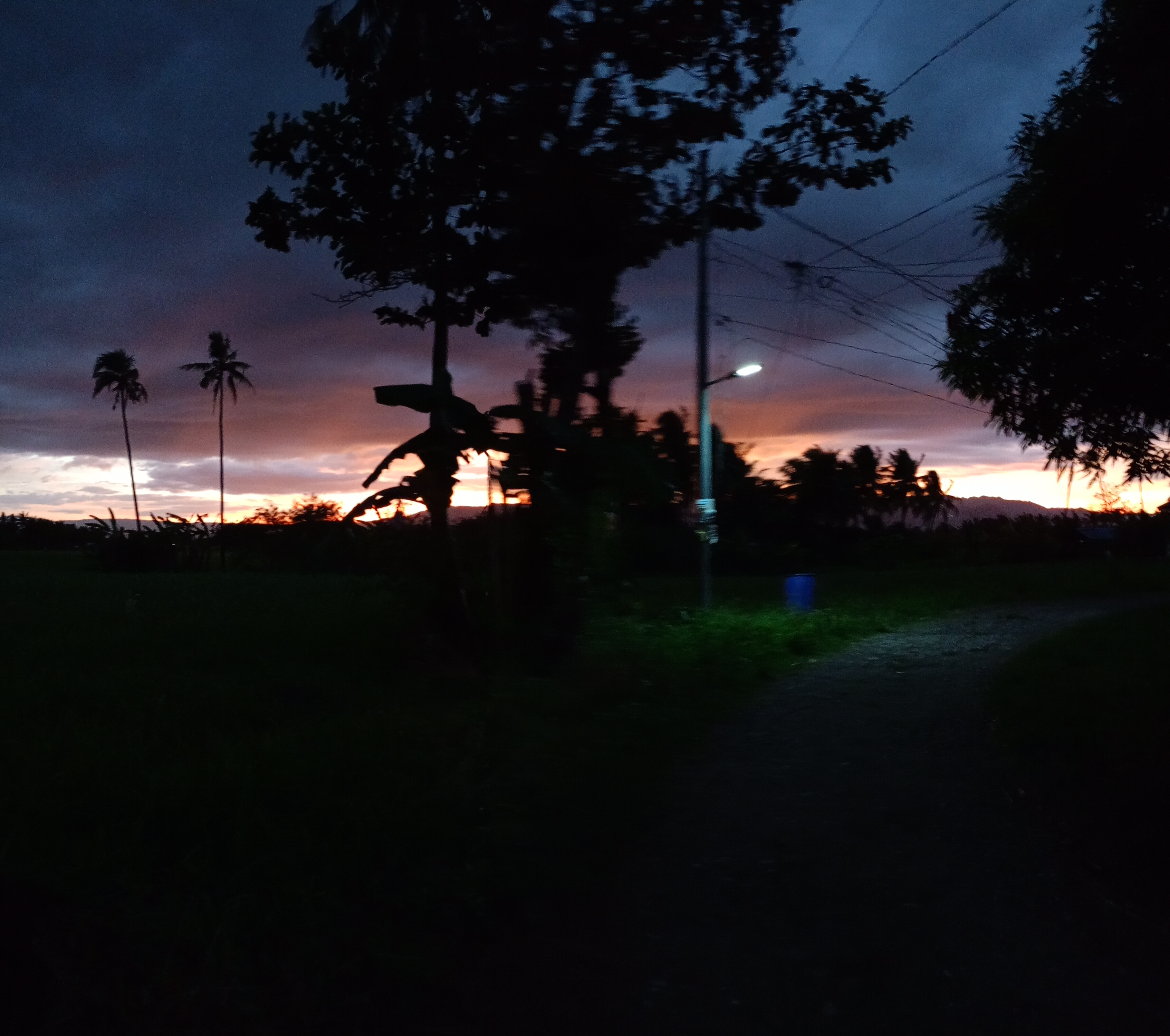 Marifa Rosales Aranda  profile photo