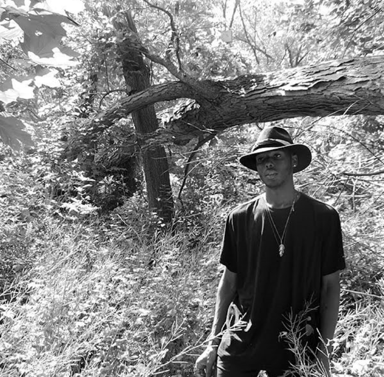 Stanton profile photo