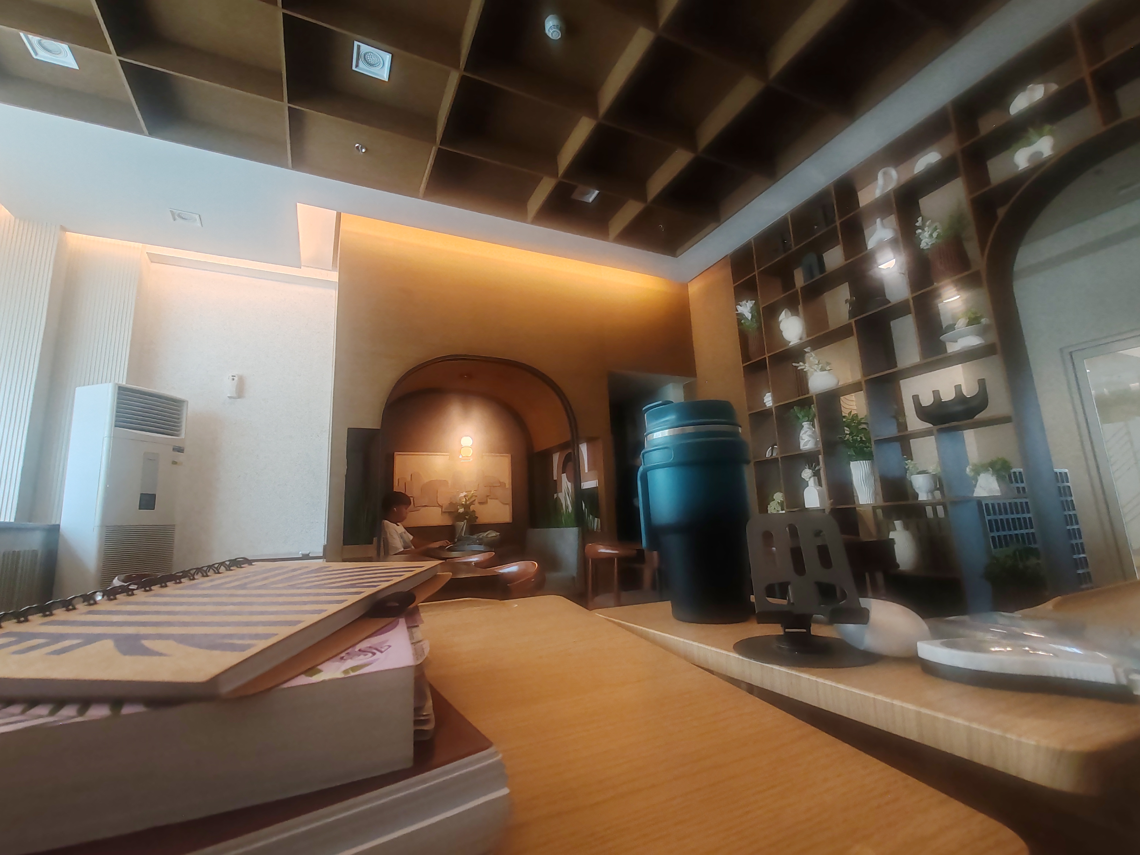 Catrhinshx profile photo