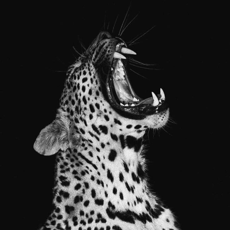 sonumahatocr7 profile photo