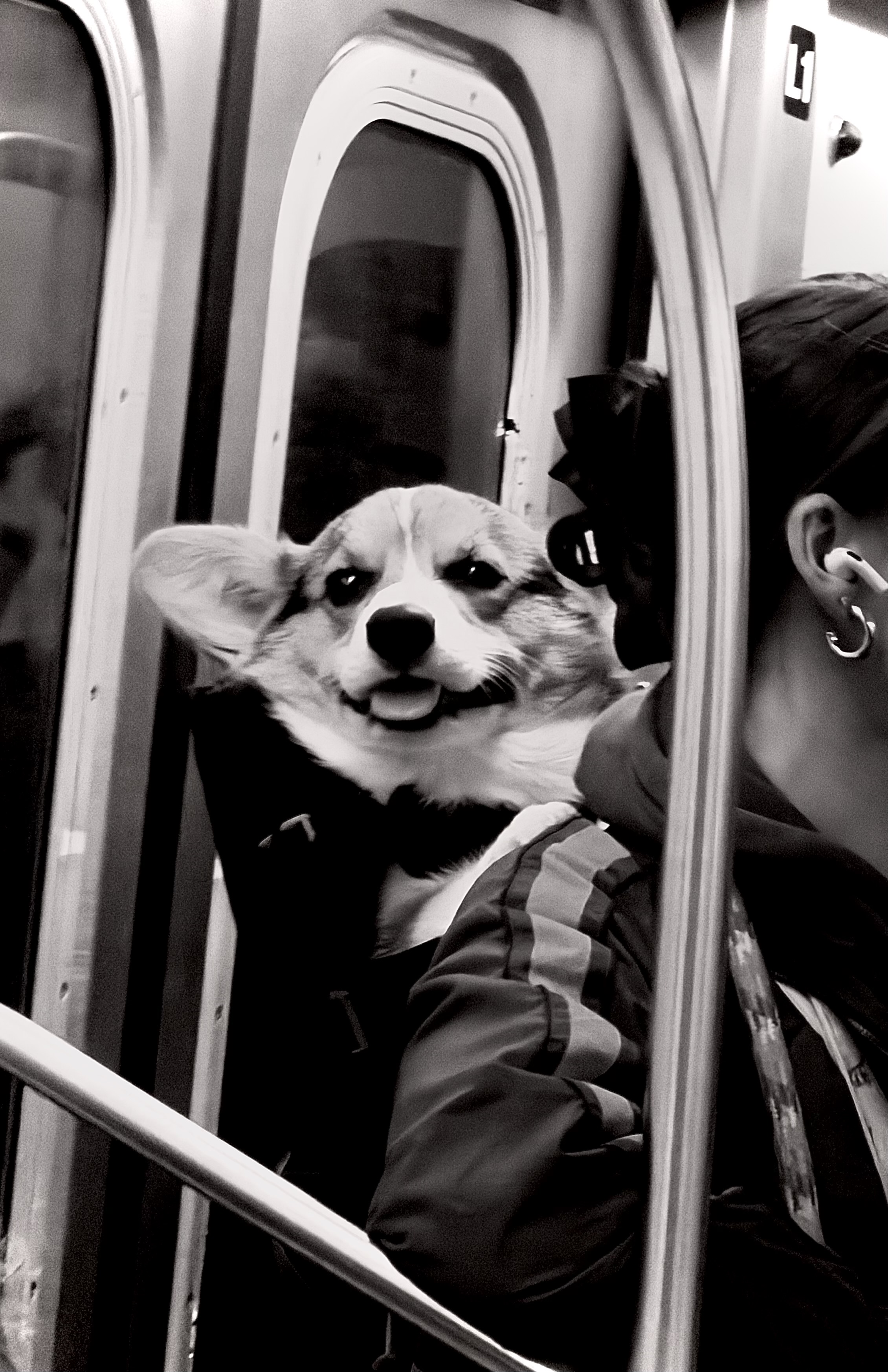 aly images profile photo