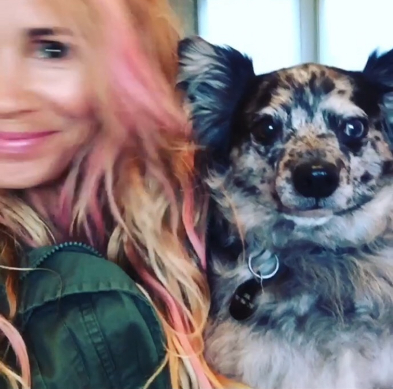 jjfreshy profile photo