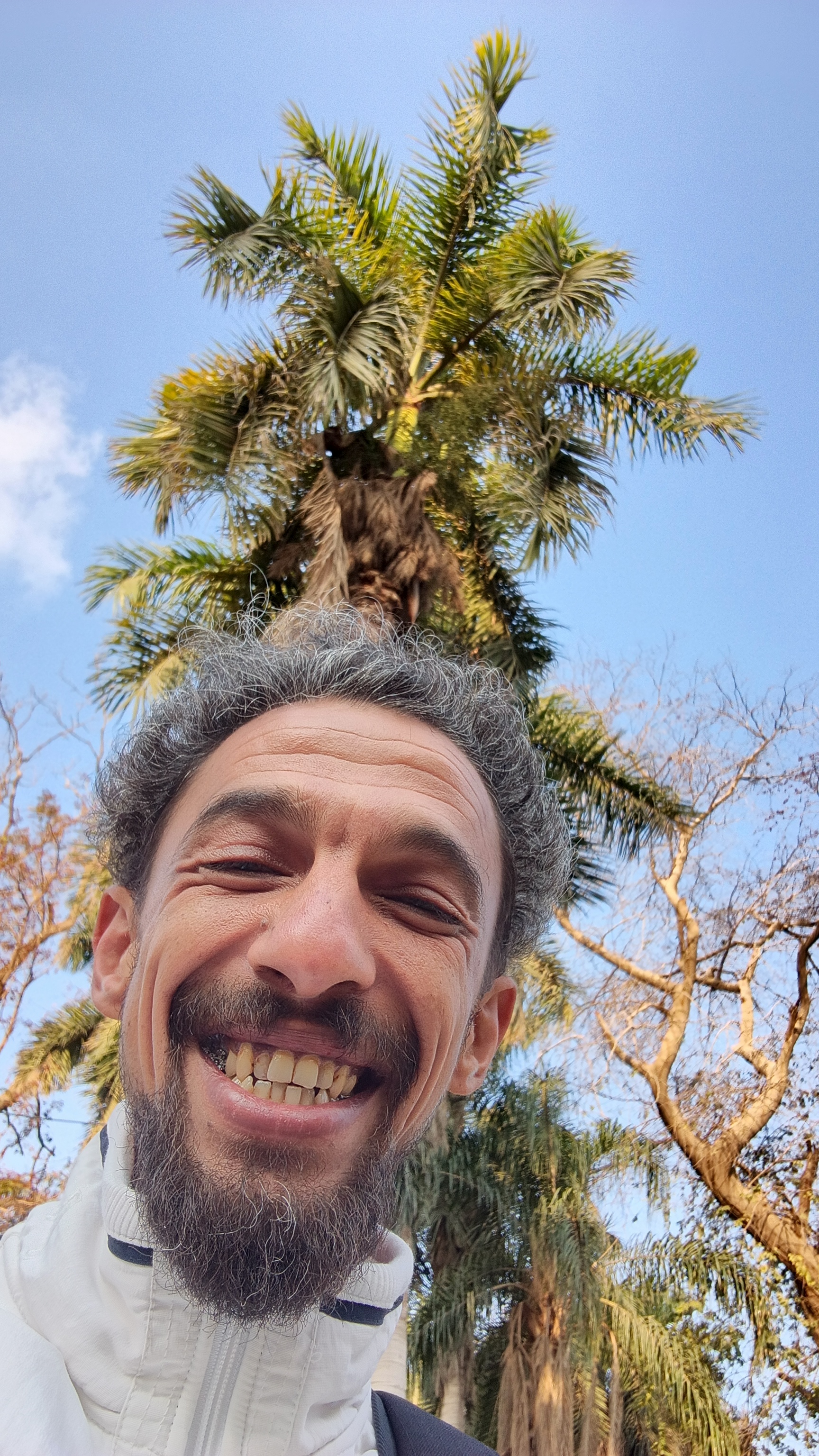 alex.seif profile photo