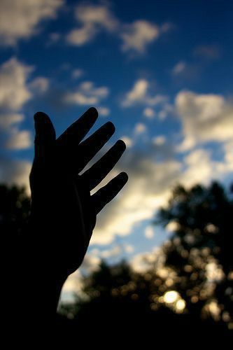 stevoste9 profile photo