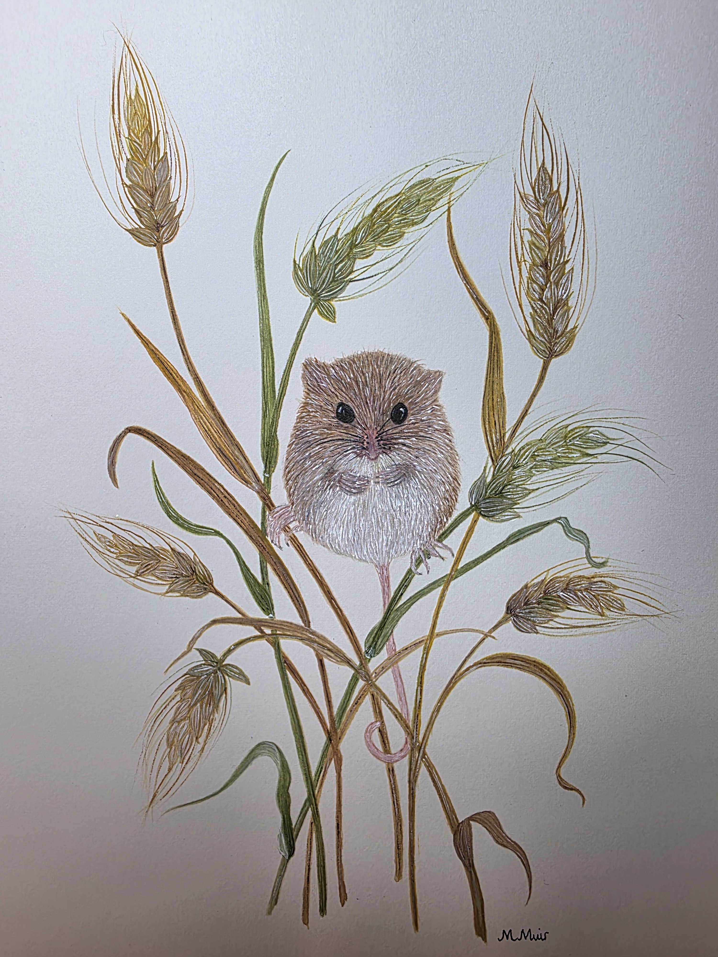 MegYorkshire profile photo