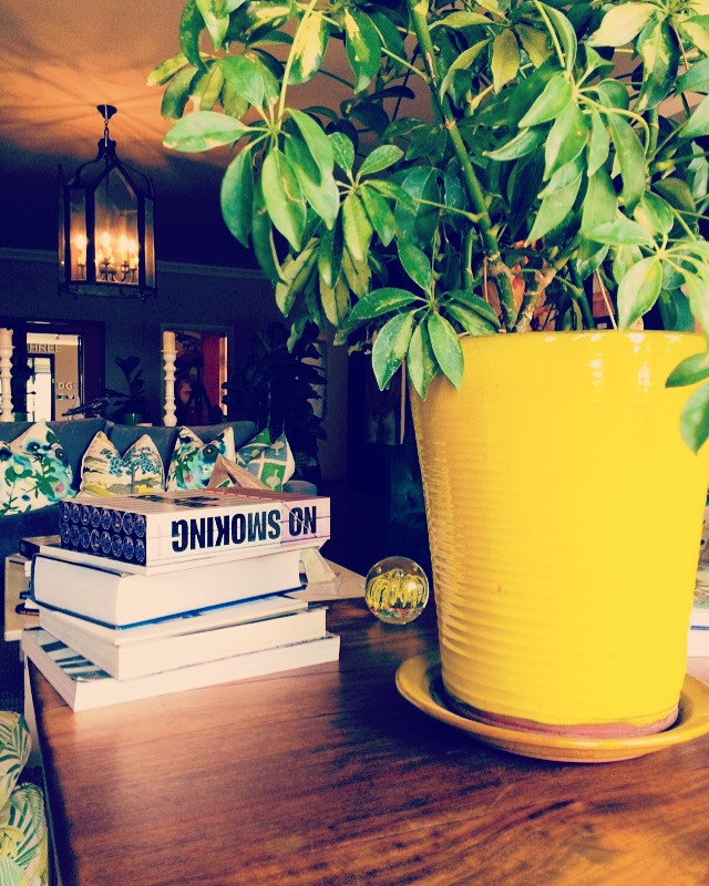 KrushalK profile photo