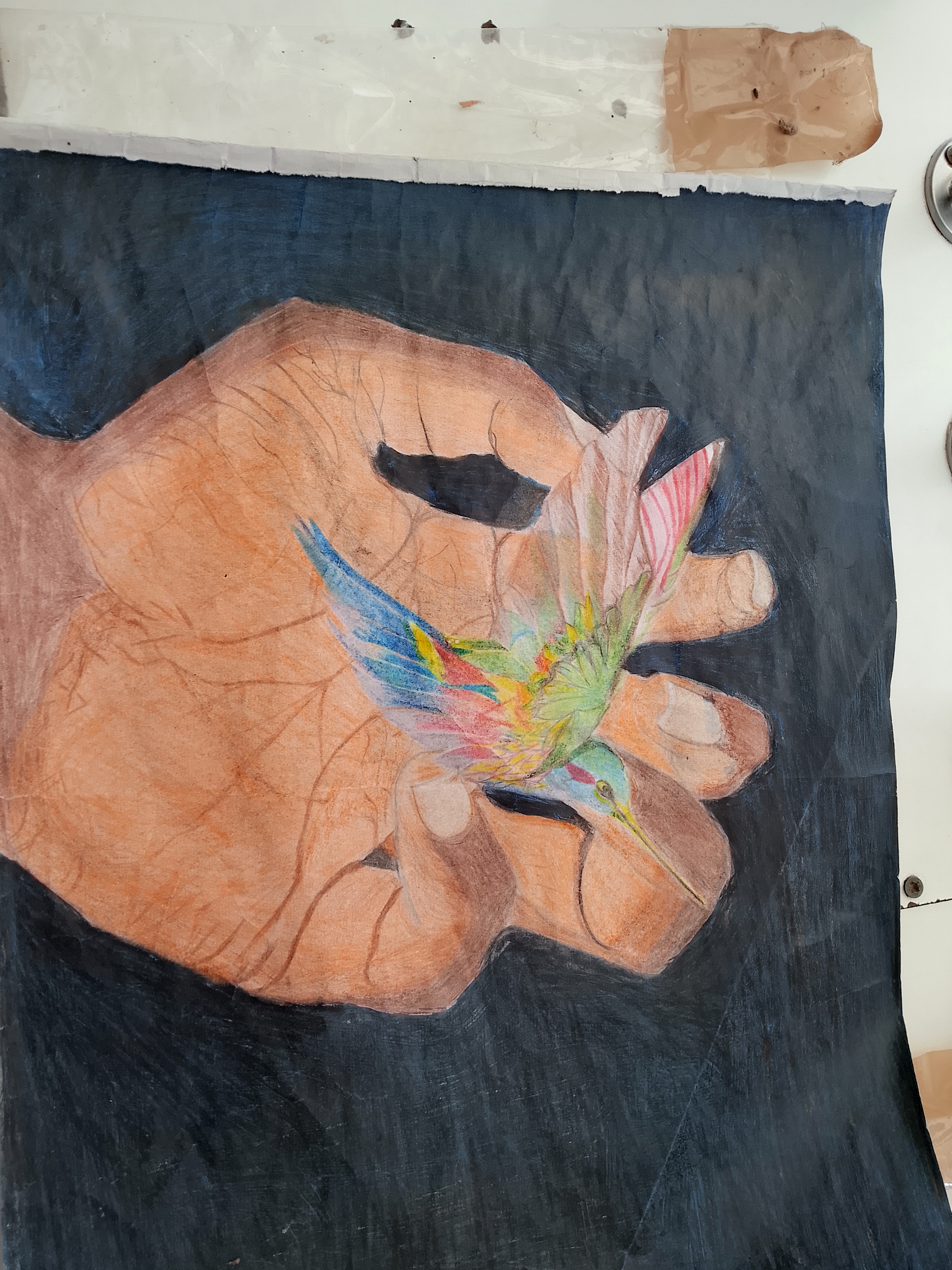 Alejandro Lokol  profile photo