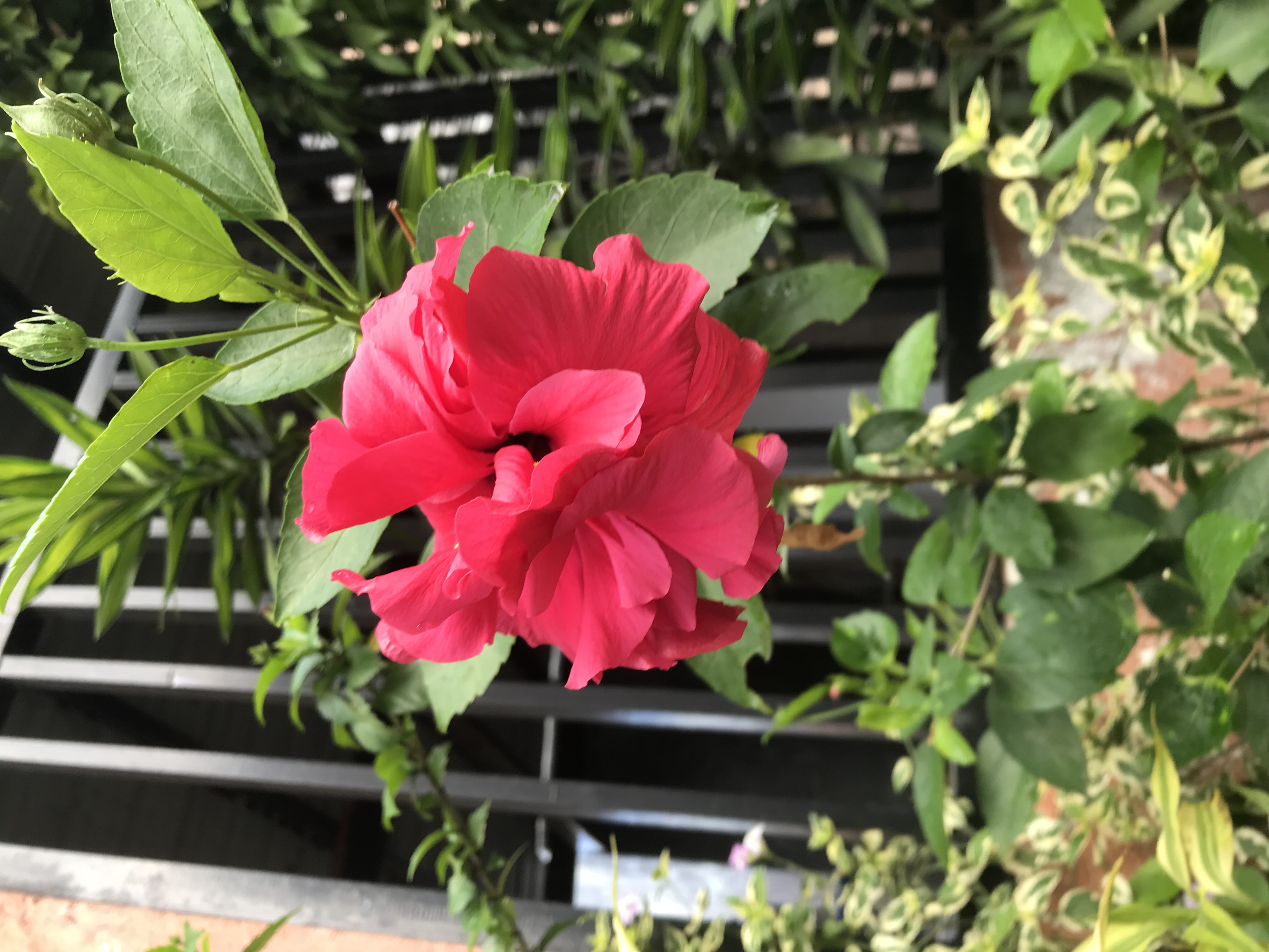 ViaVenice profile photo