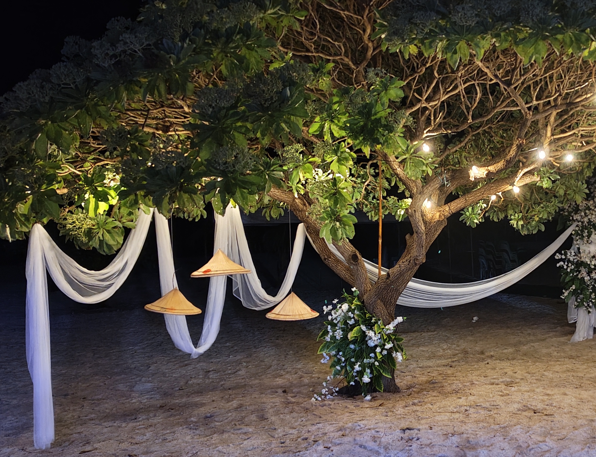 iangacita478 profile photo