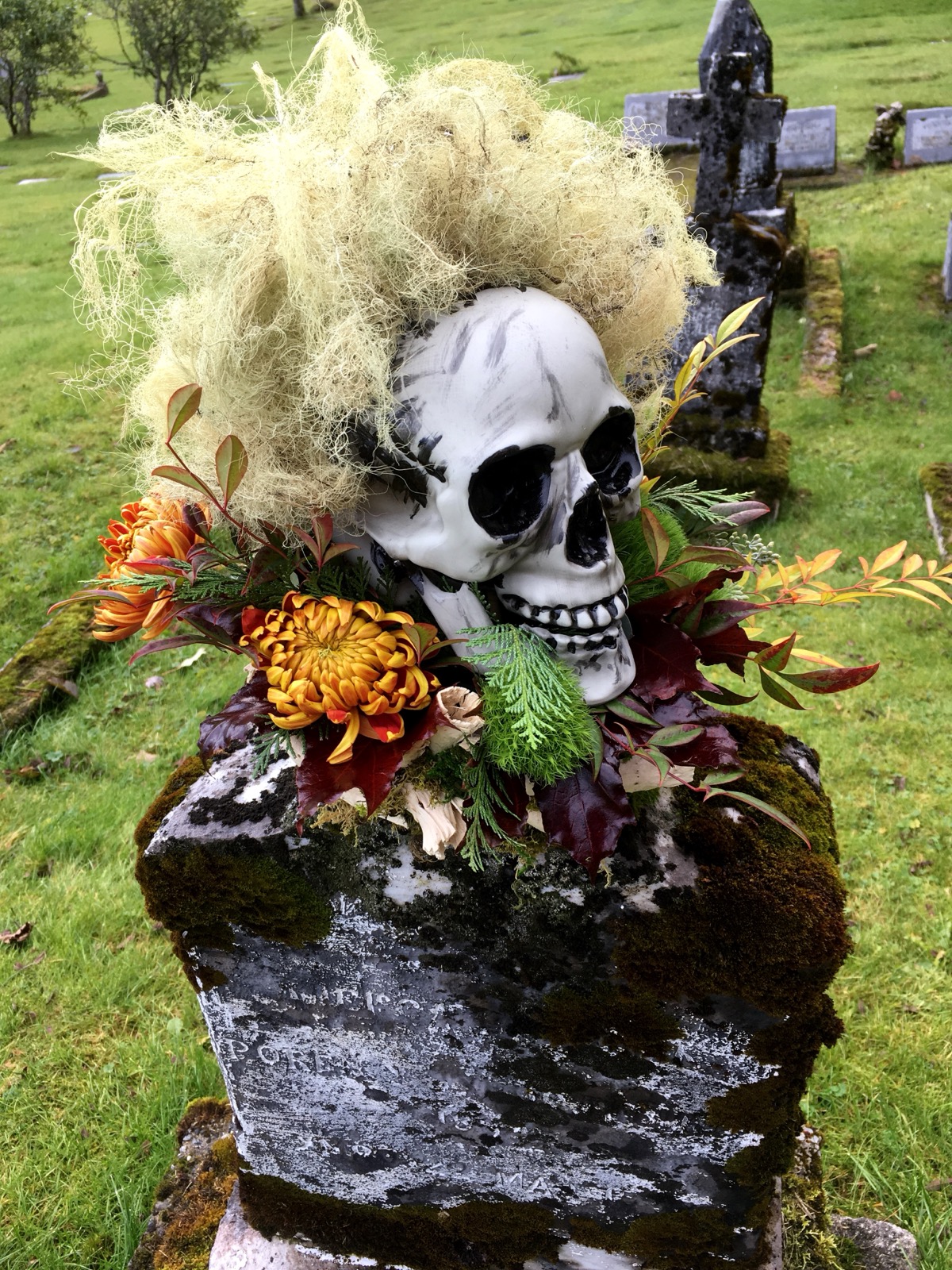 RainforestCrafter profile photo