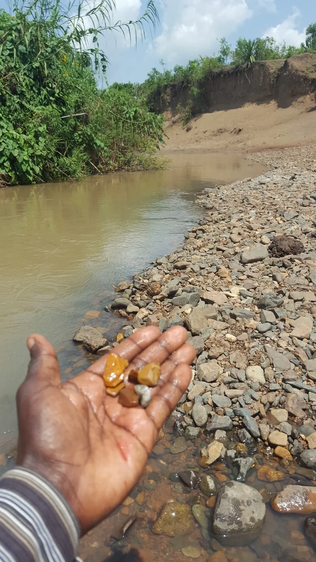 inbound2496532641130160766