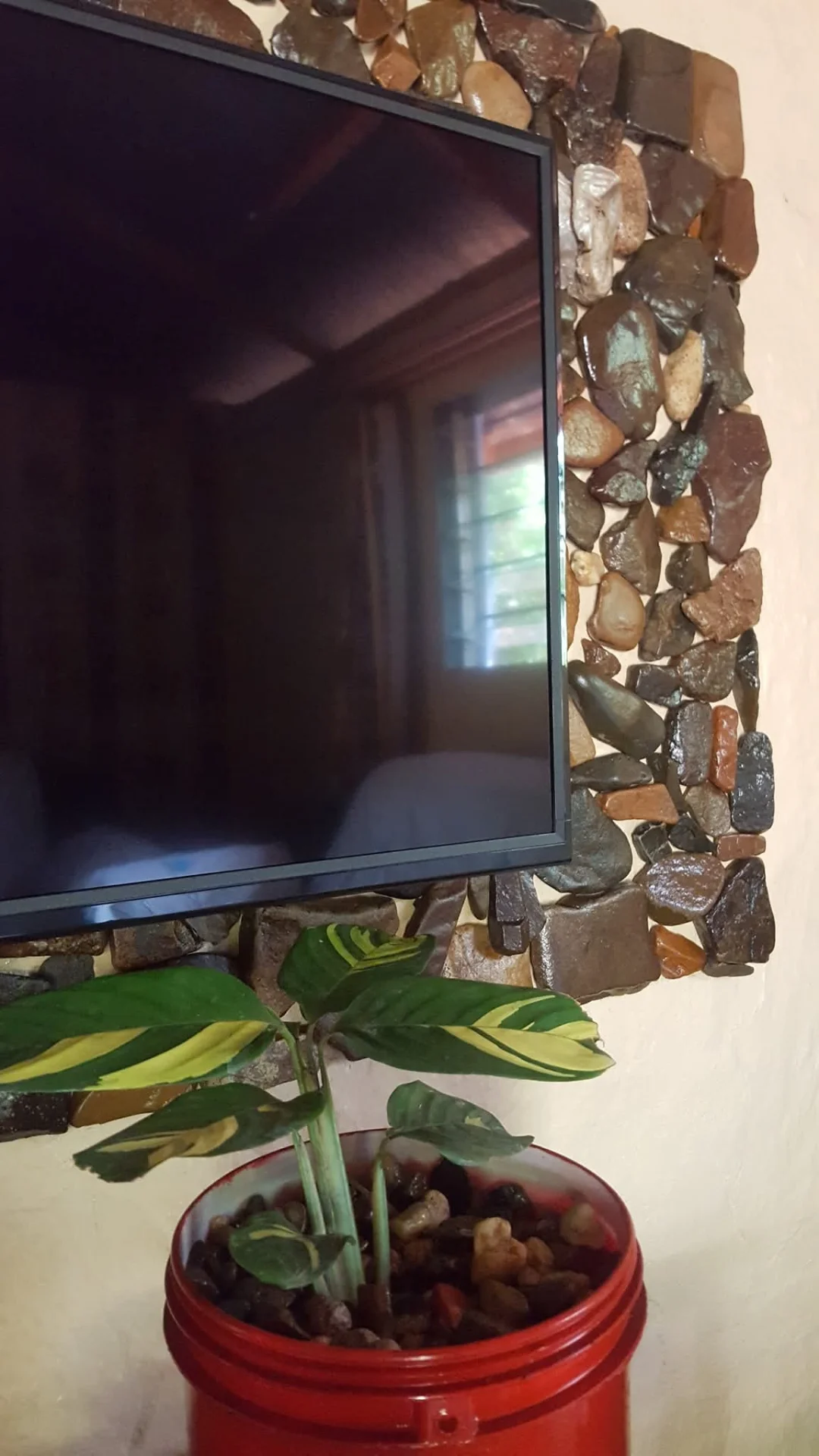 inbound1281382145775390842