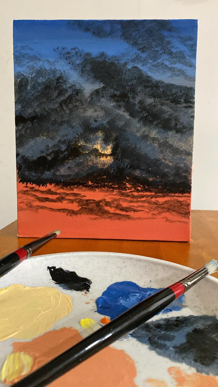 suraksha portfolio work