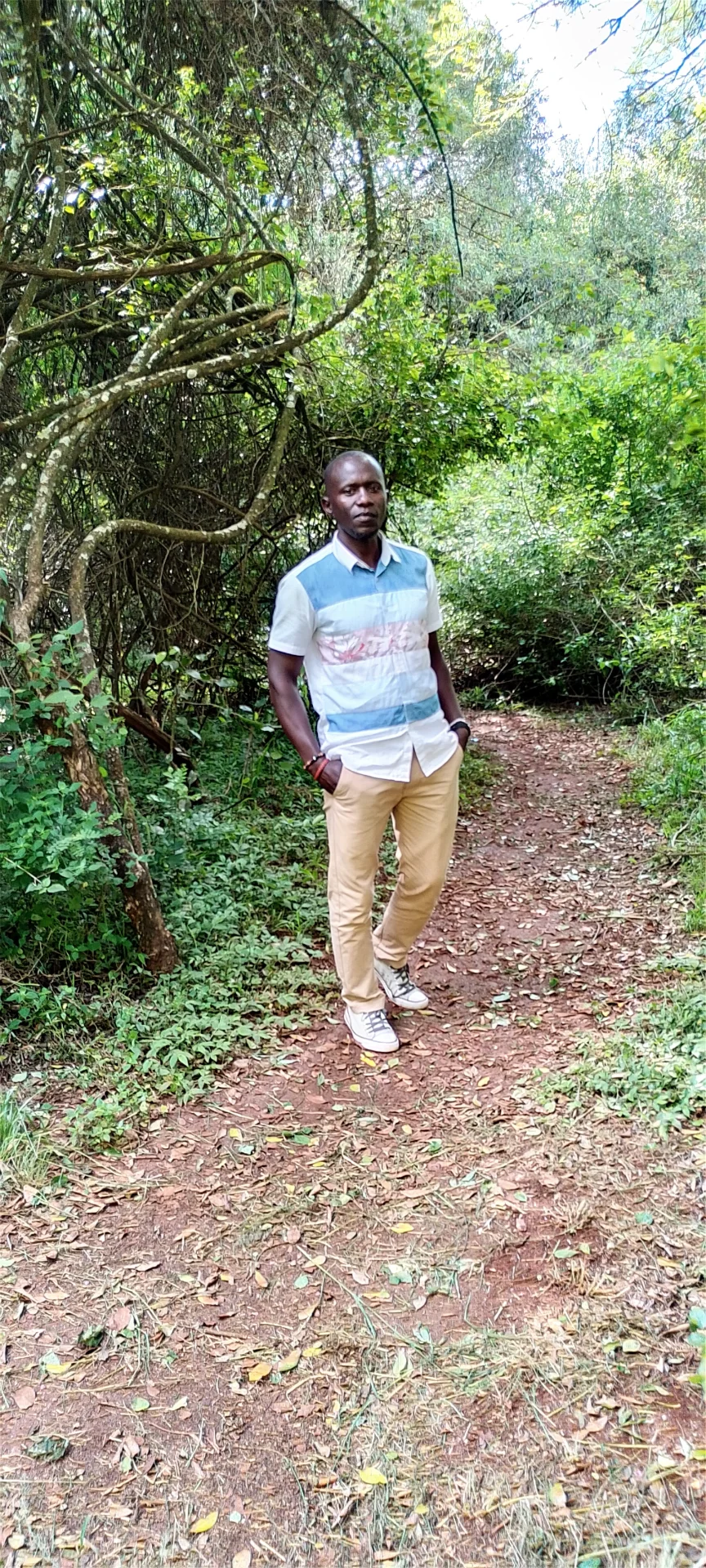 inbound8223345452306124615