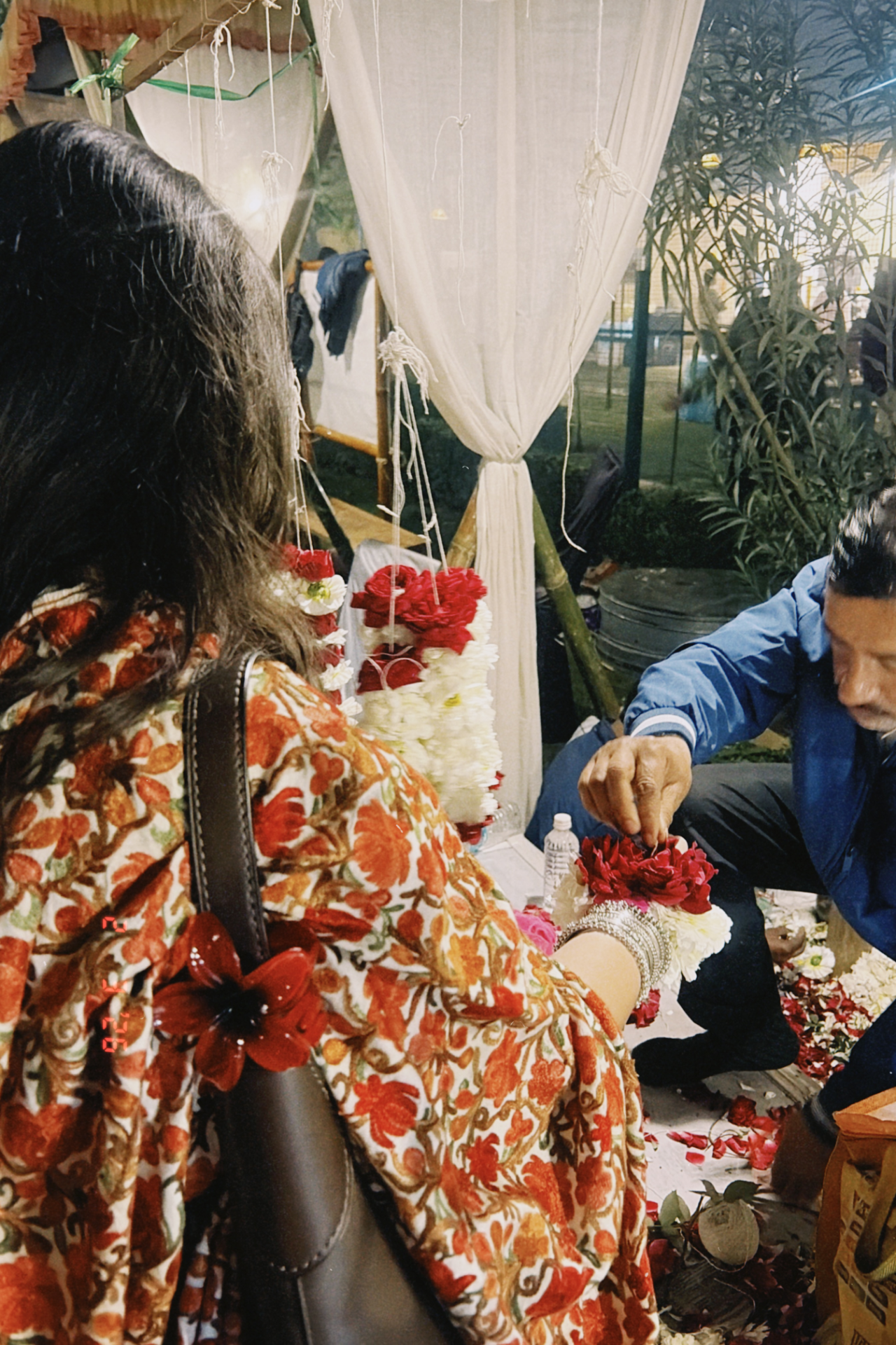 dclassic 2026-02-03 19314618E99268FDD7