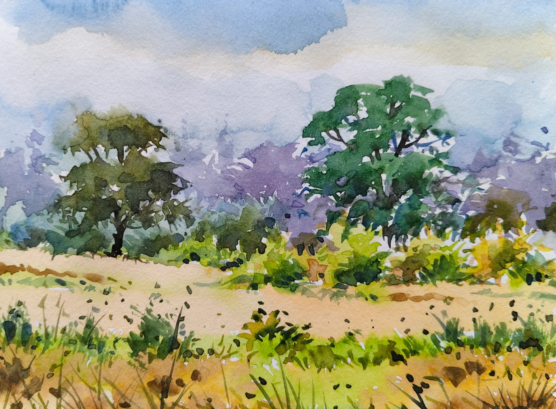 inbound7022660300574515541