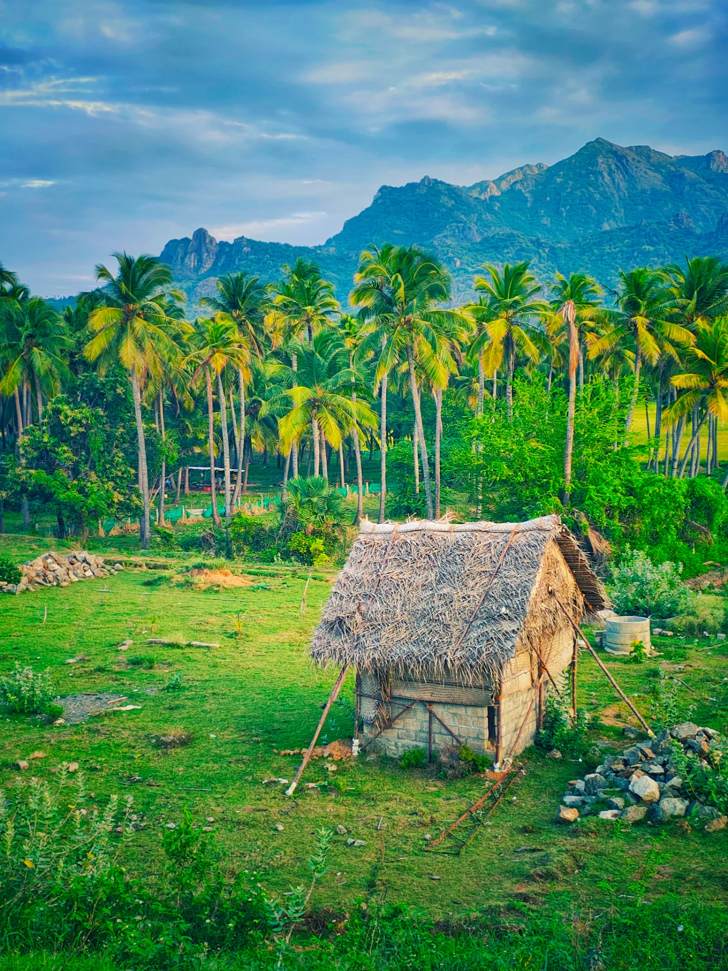 inbound3169605041214424998