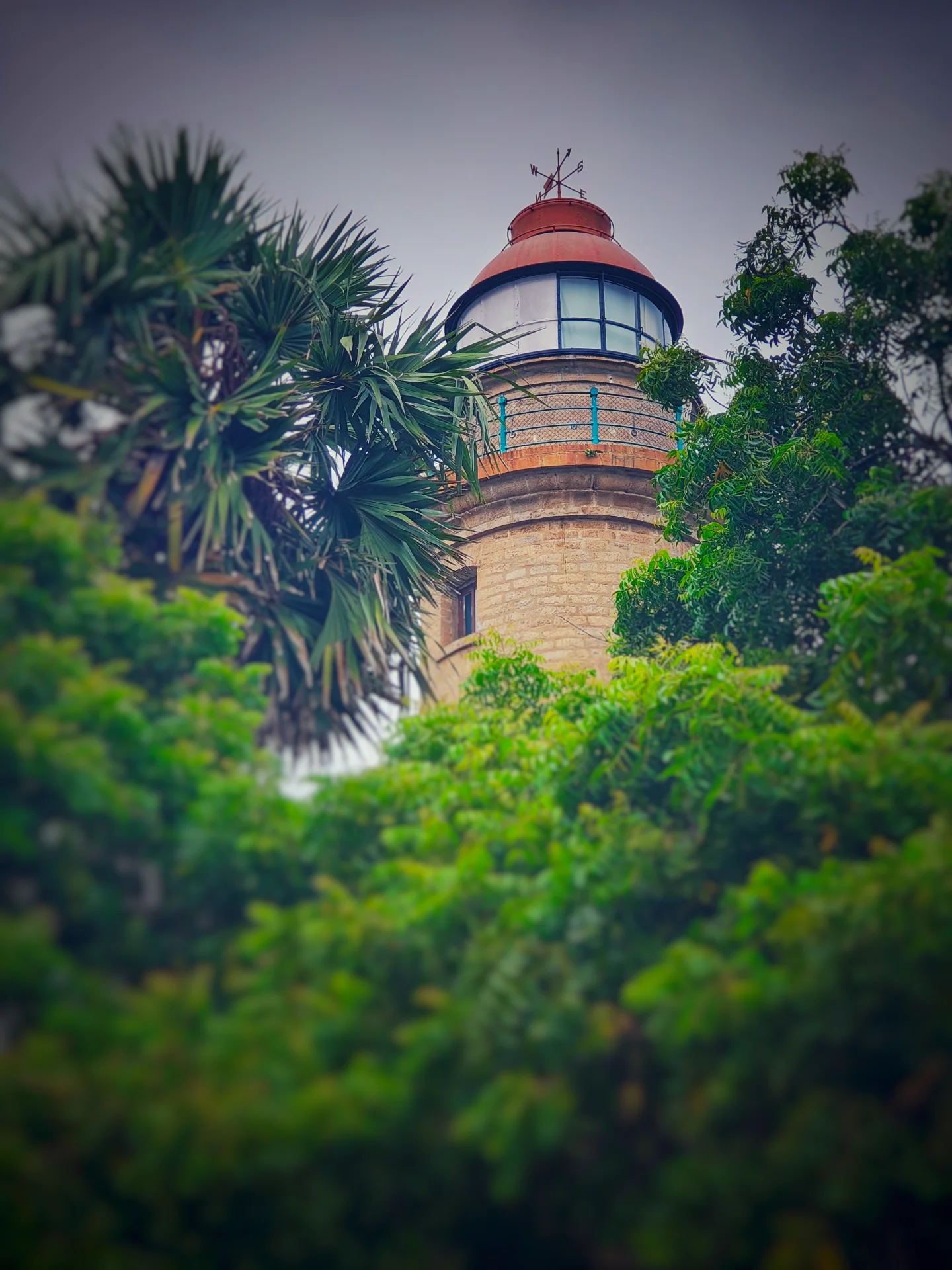 inbound4853789942064579271