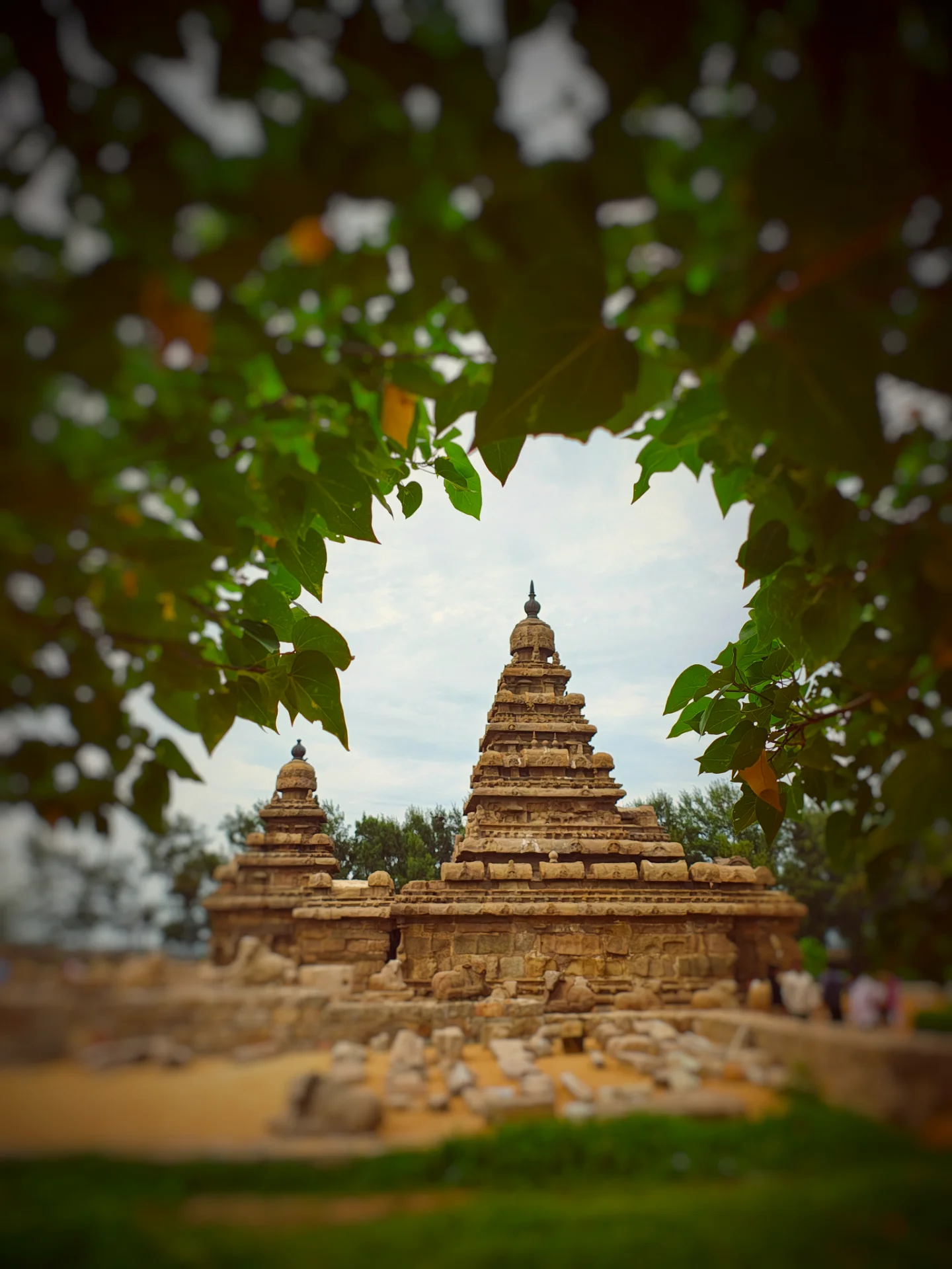 inbound6692846200767442873