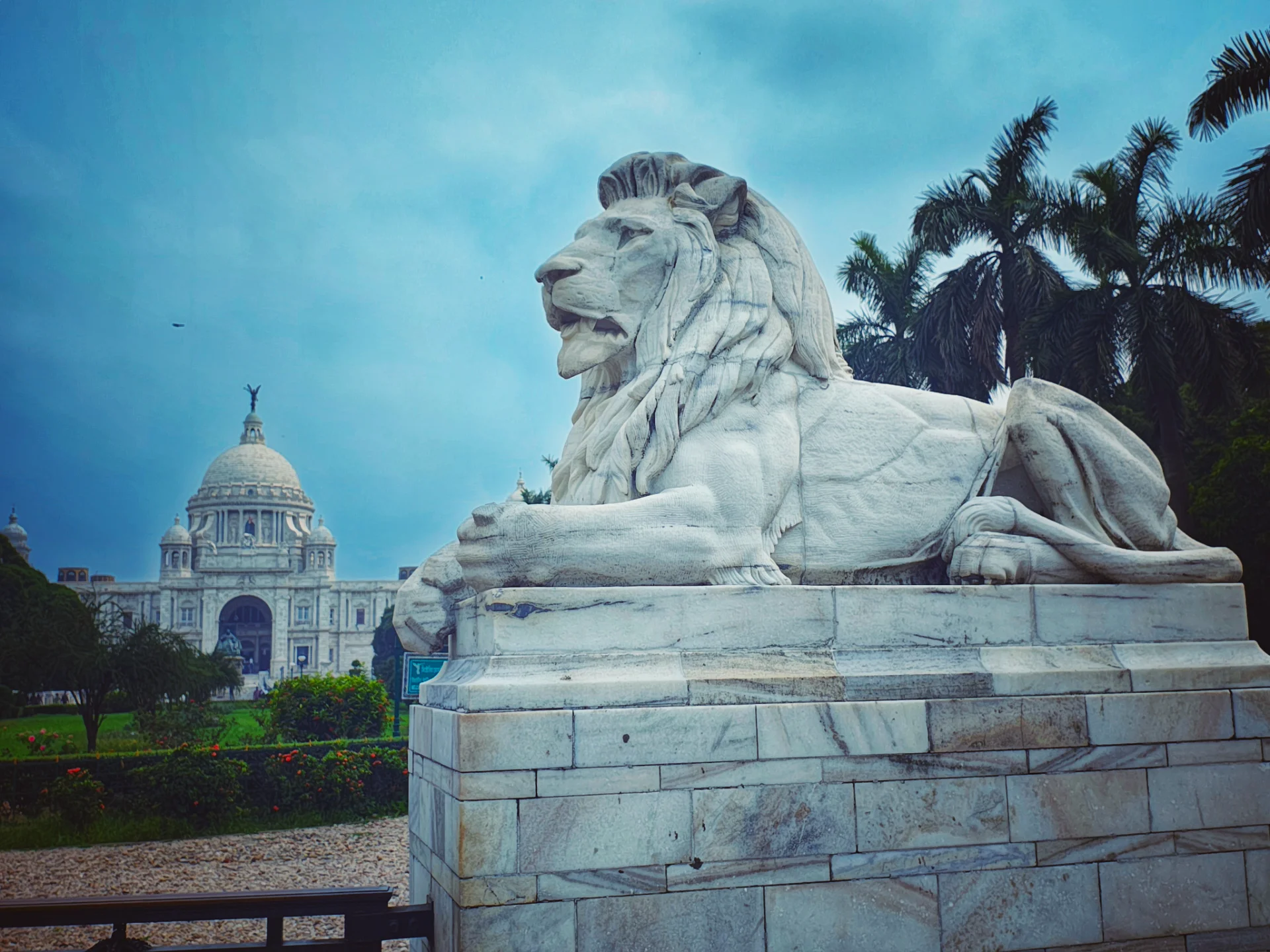 inbound8882671365675261693