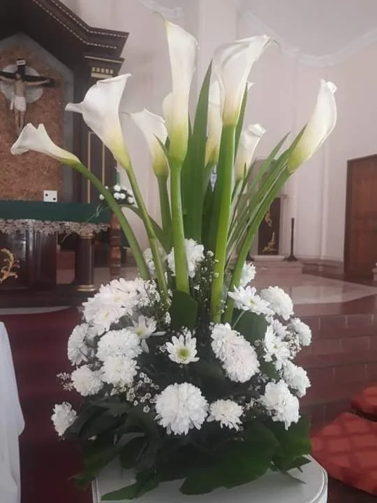 inbound9147903816099123515