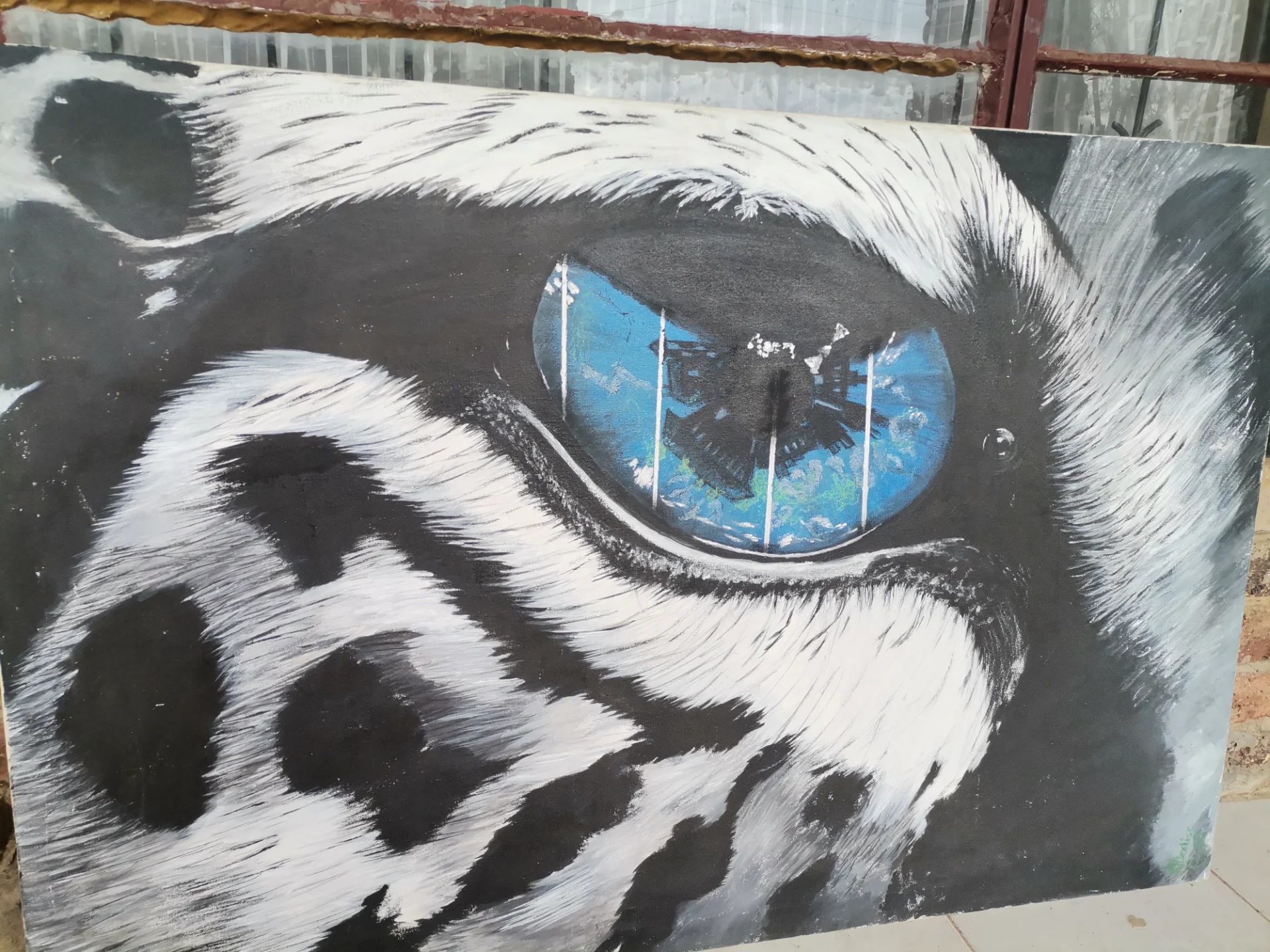 Jaxxy portfolio work