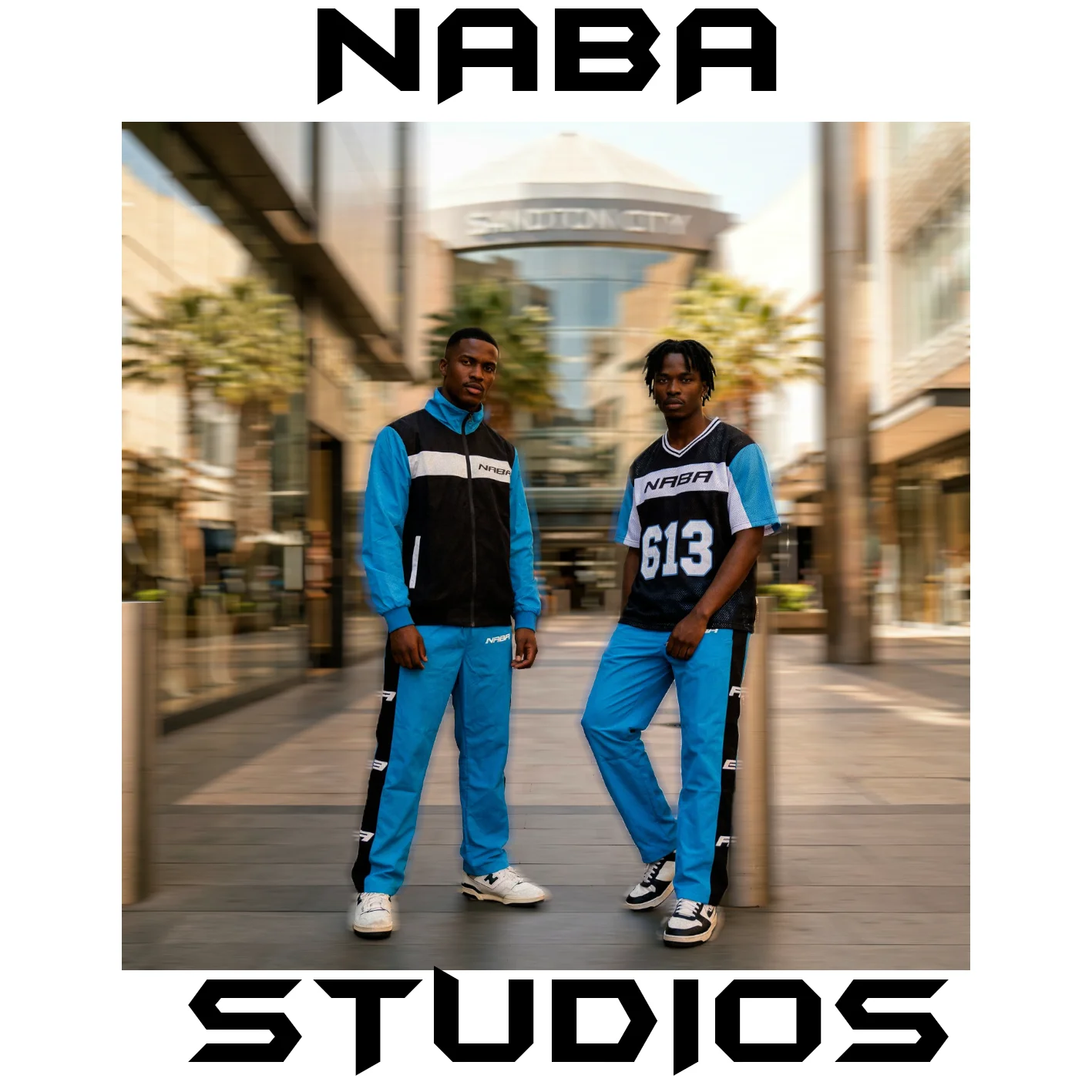 inbound3797013812452608557