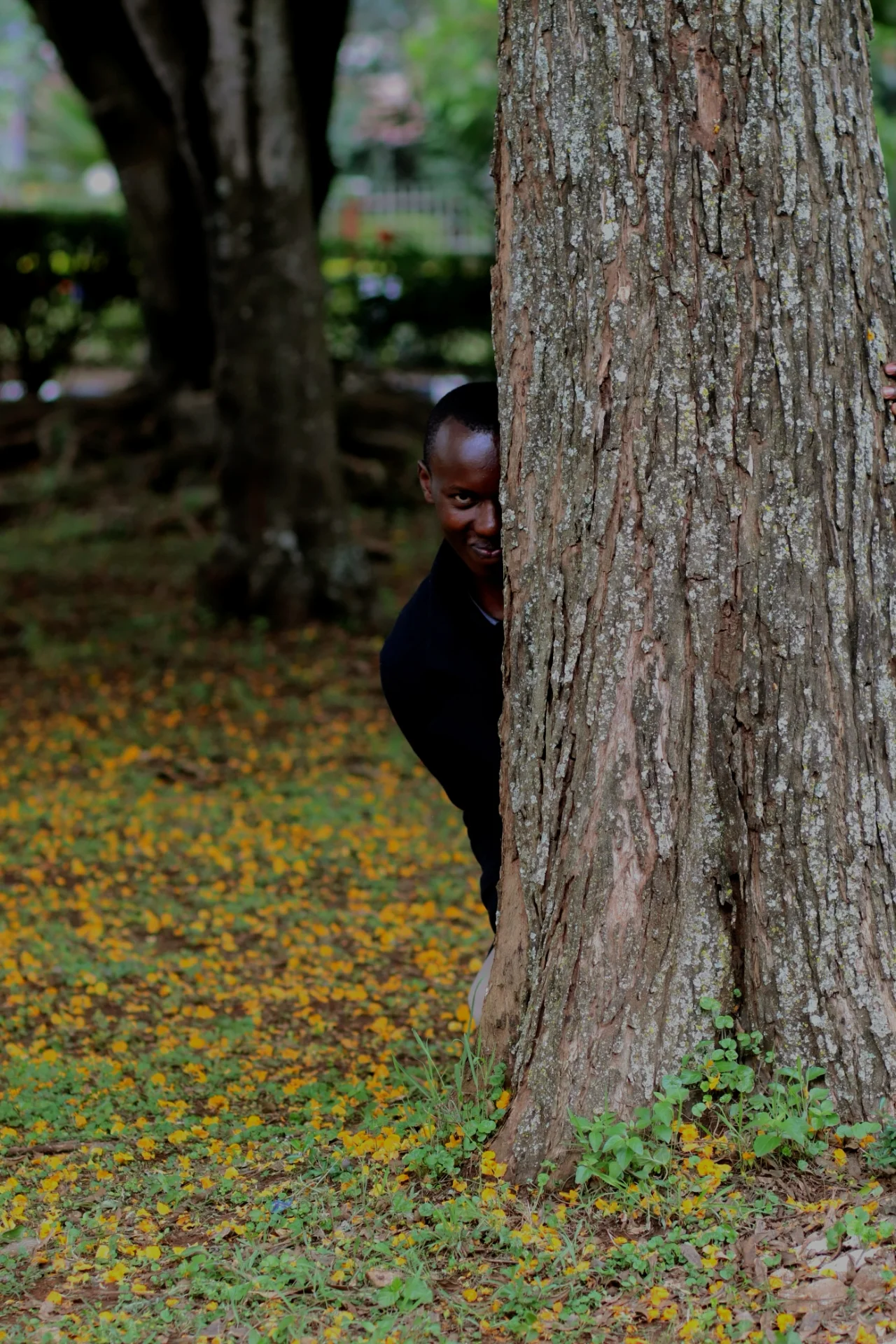 ianagala portfolio work