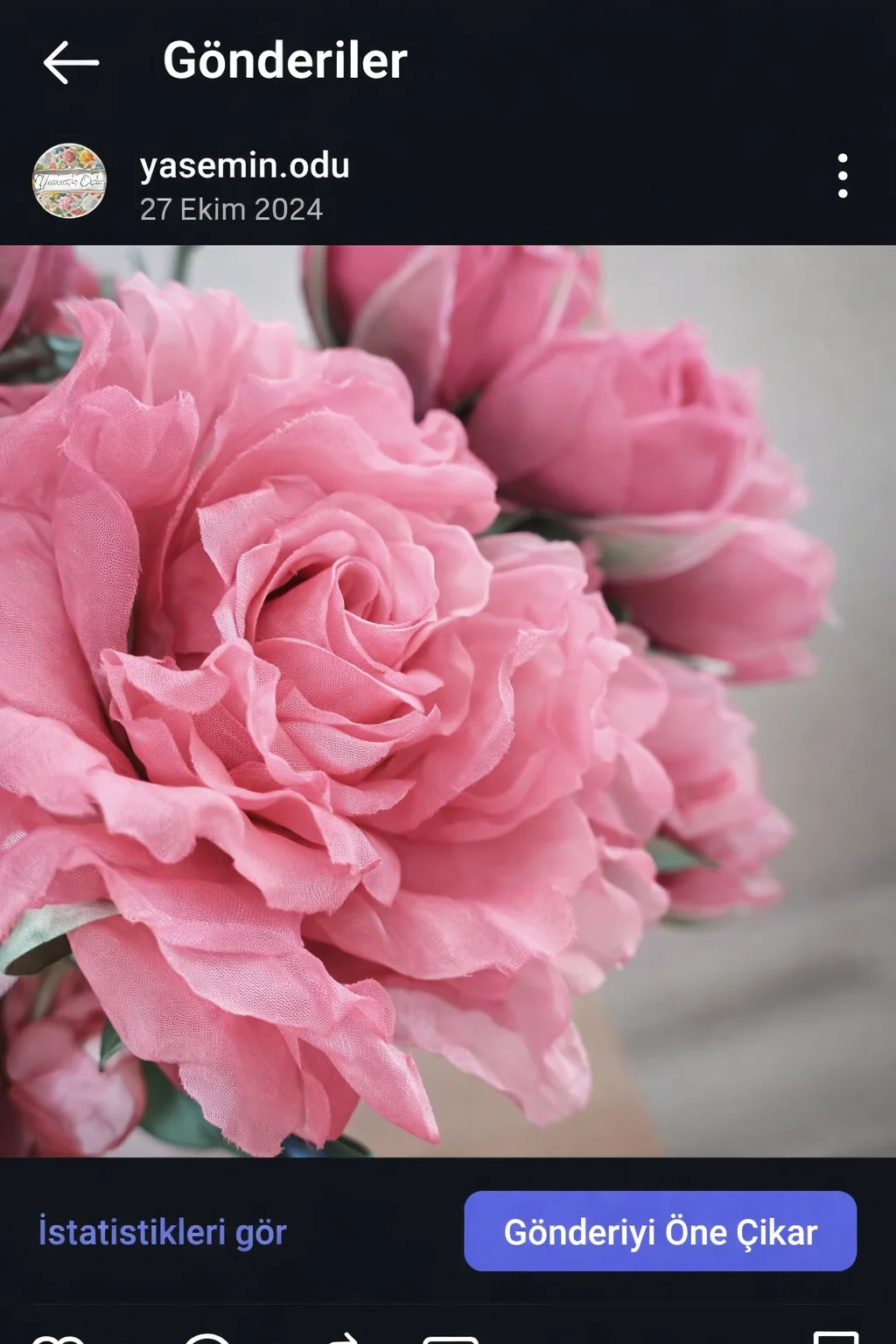 inbound5341356184348333711