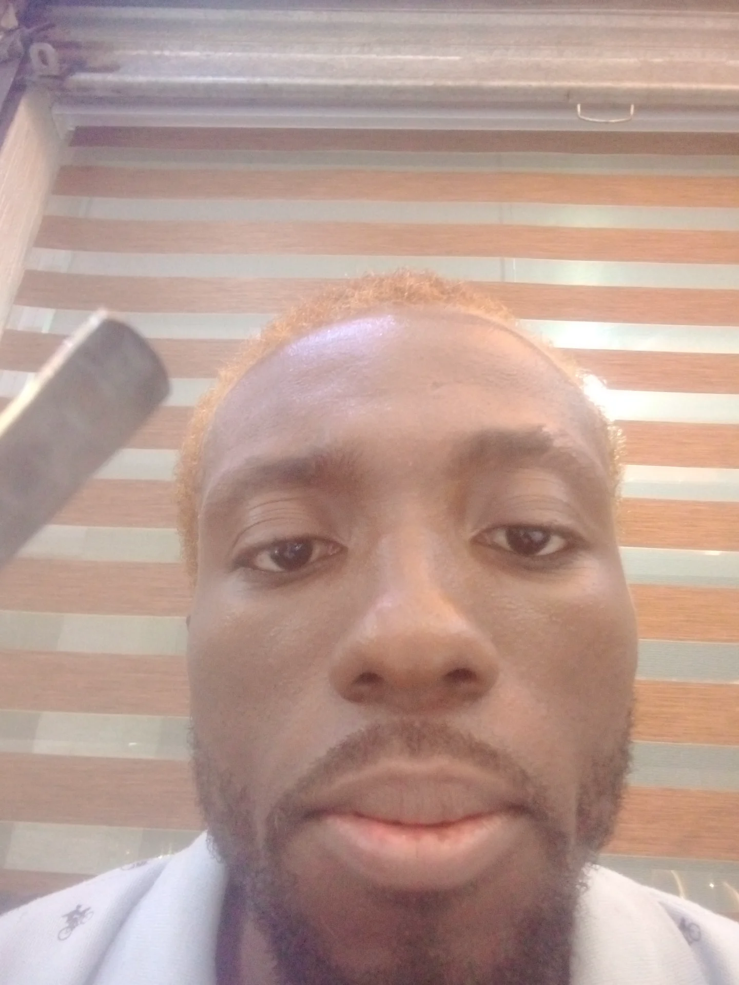 inbound6929274265968274684