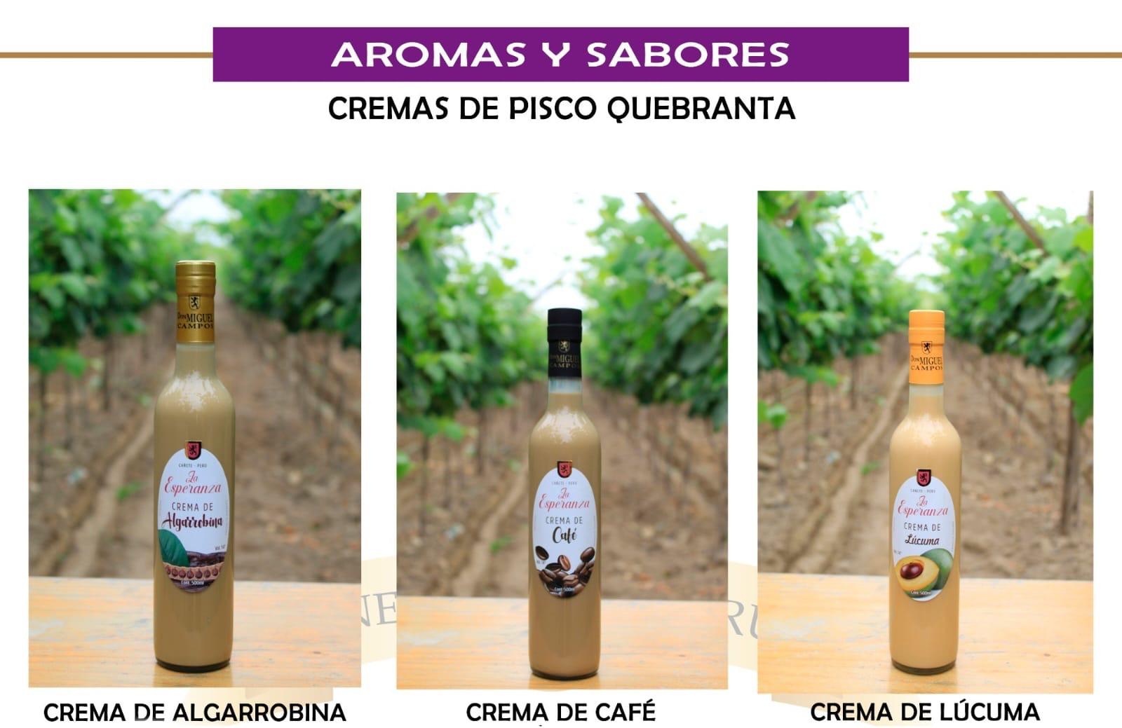 9b17ca61-2341-46a1-b89d-11e1e6fcc542