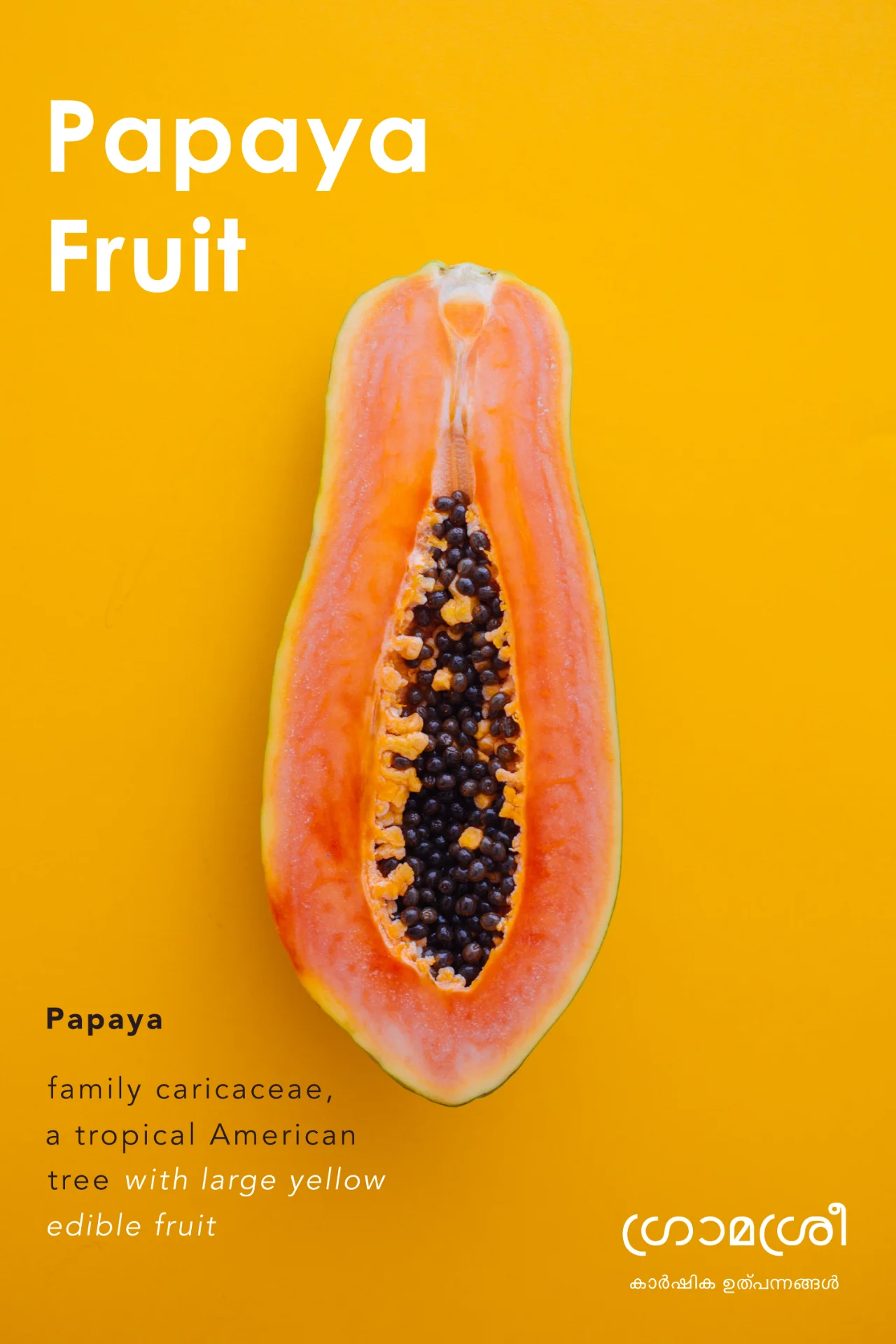 inbound4476221470137973183