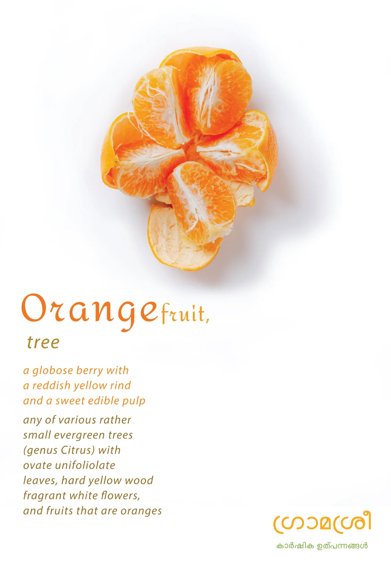 inbound7435502116243454425