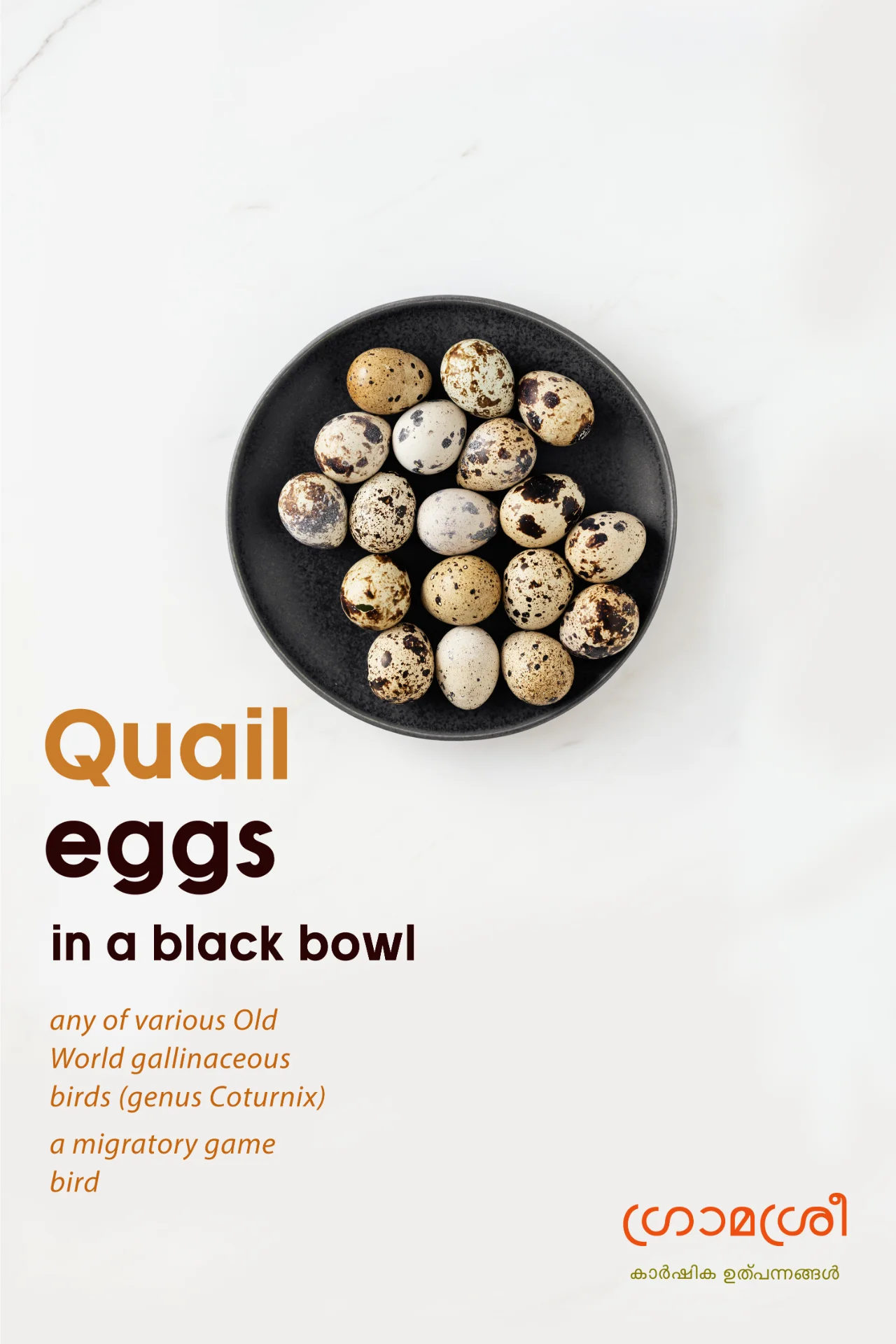 inbound1269104523904397397