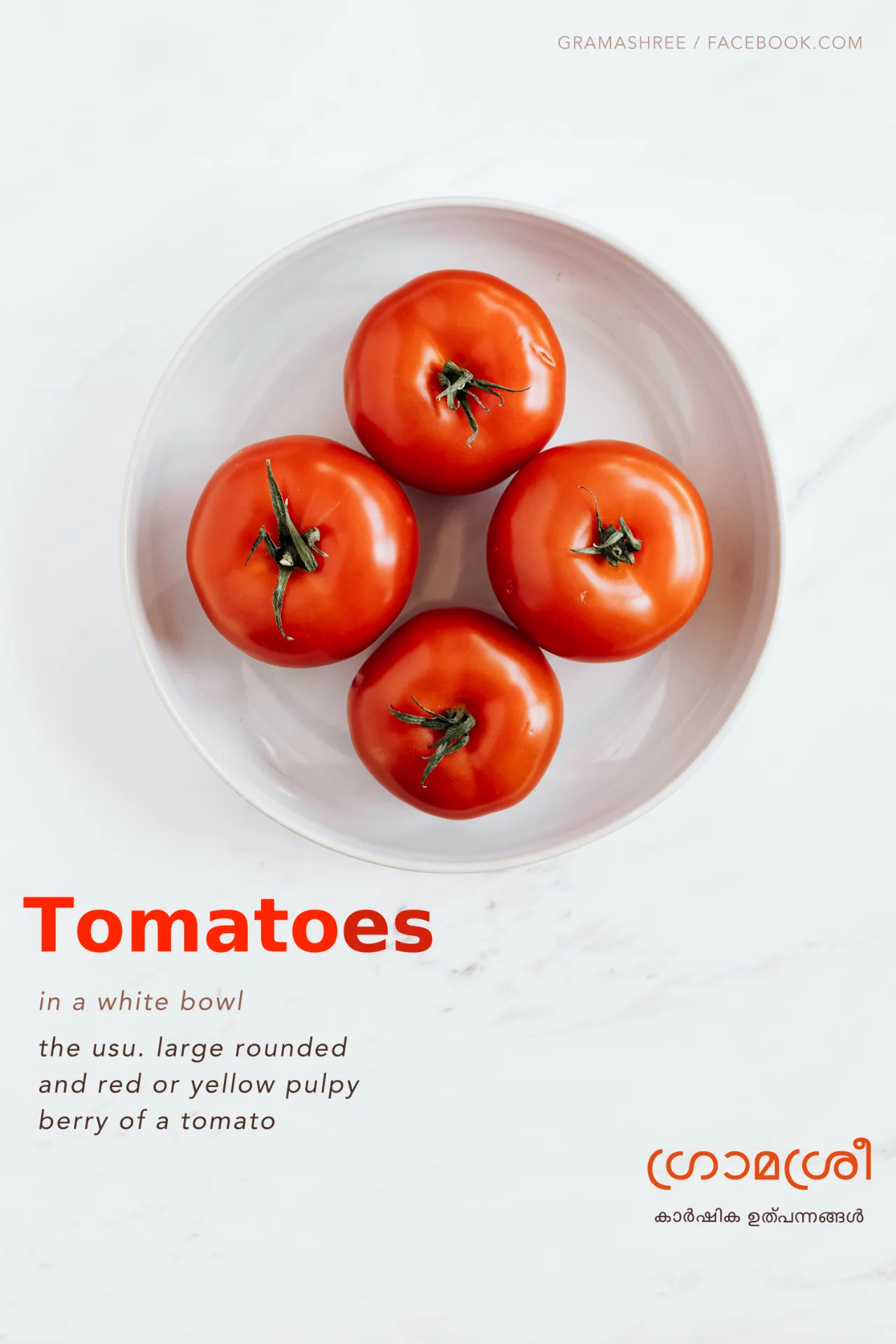 inbound3208760756652118735