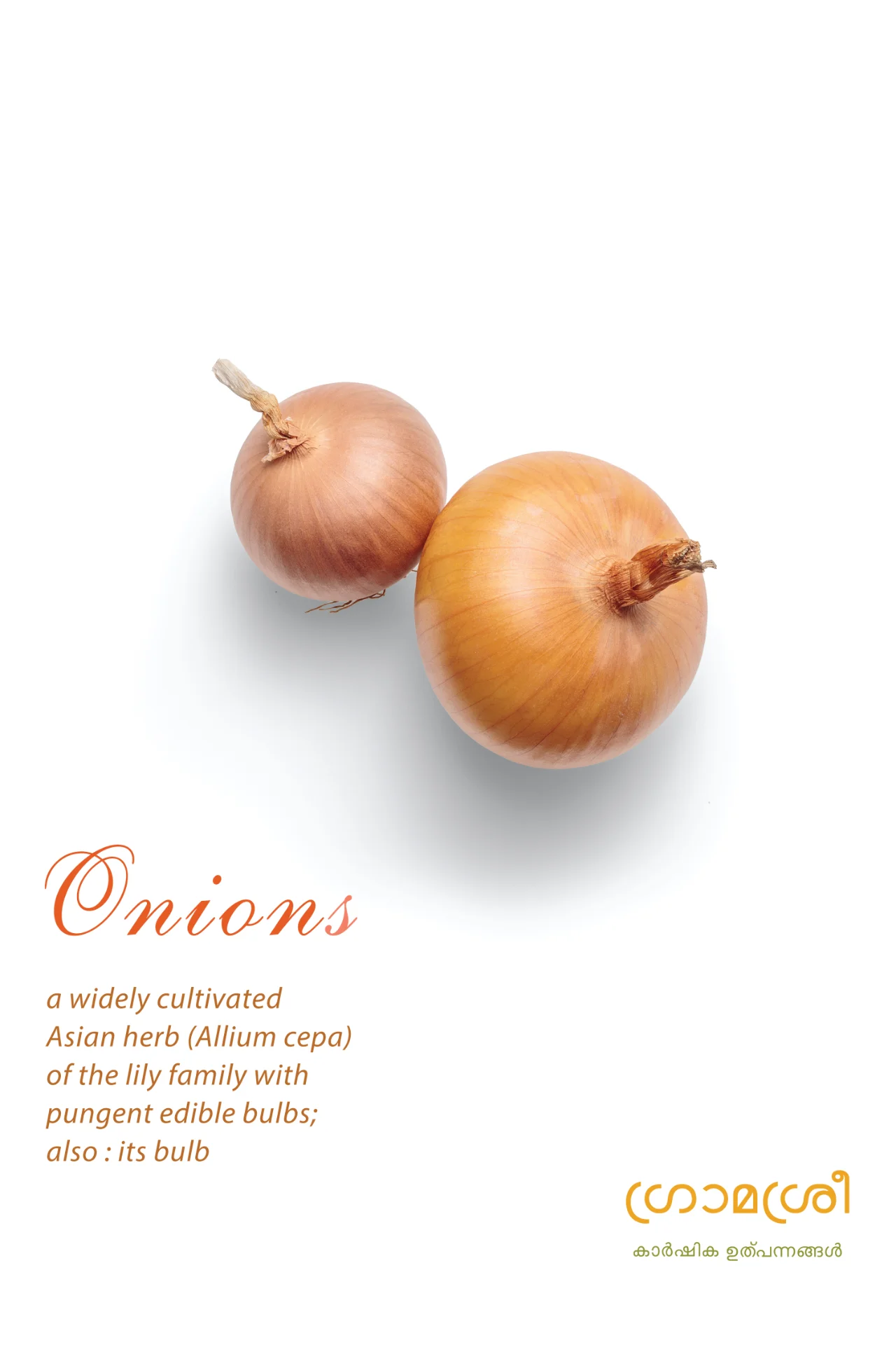 inbound3378759578436374522