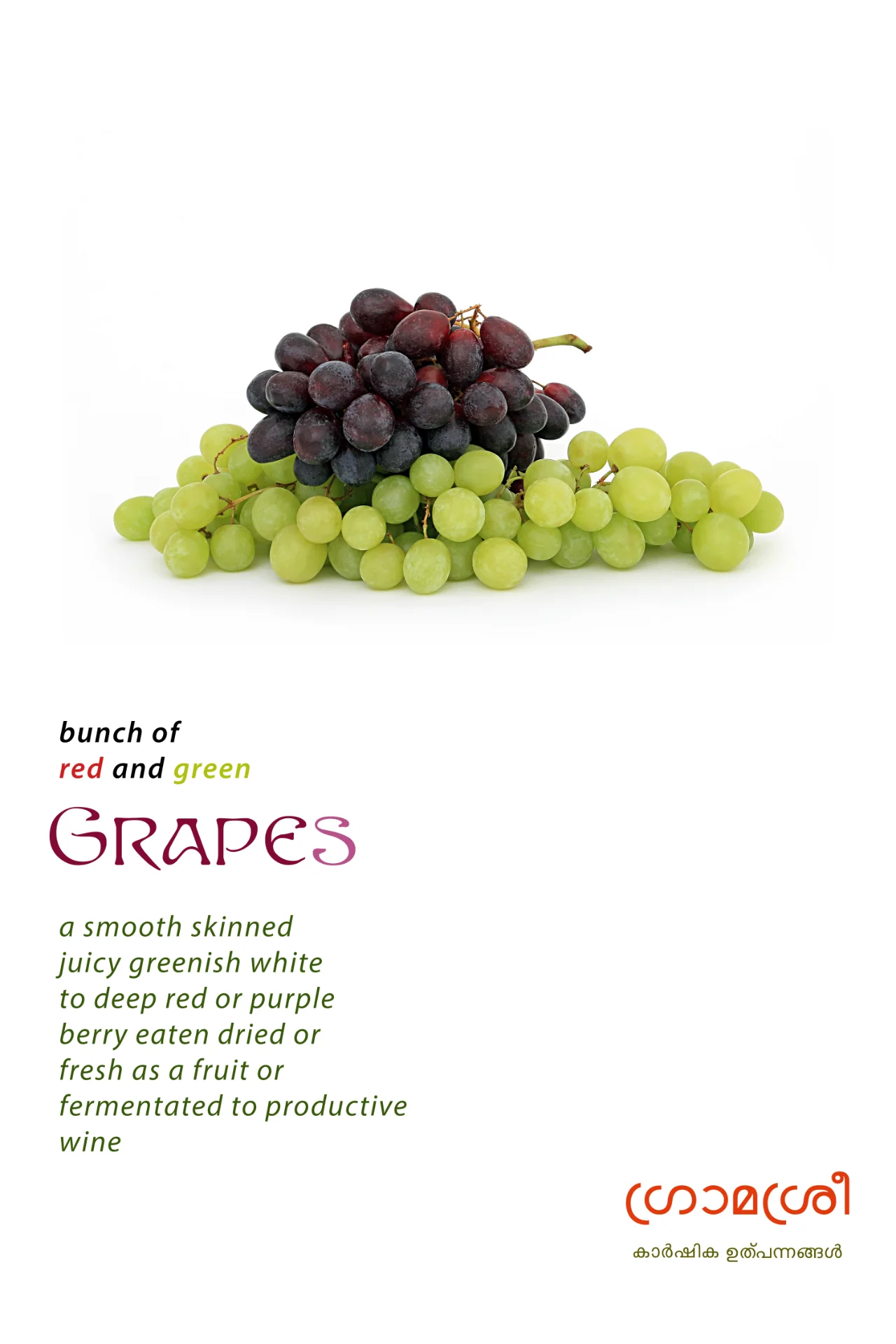 inbound3235013506336616822