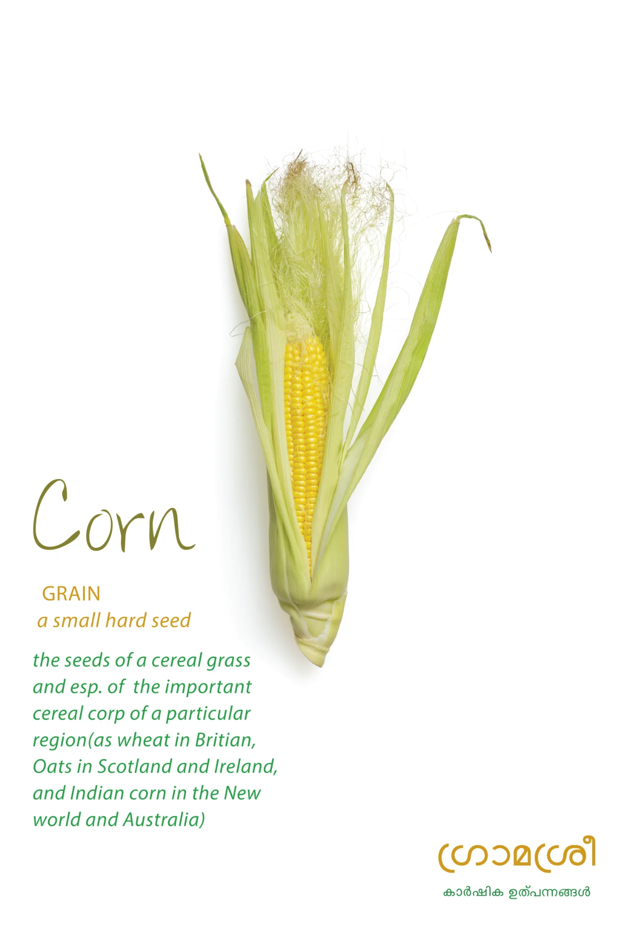 inbound4409561629927286788