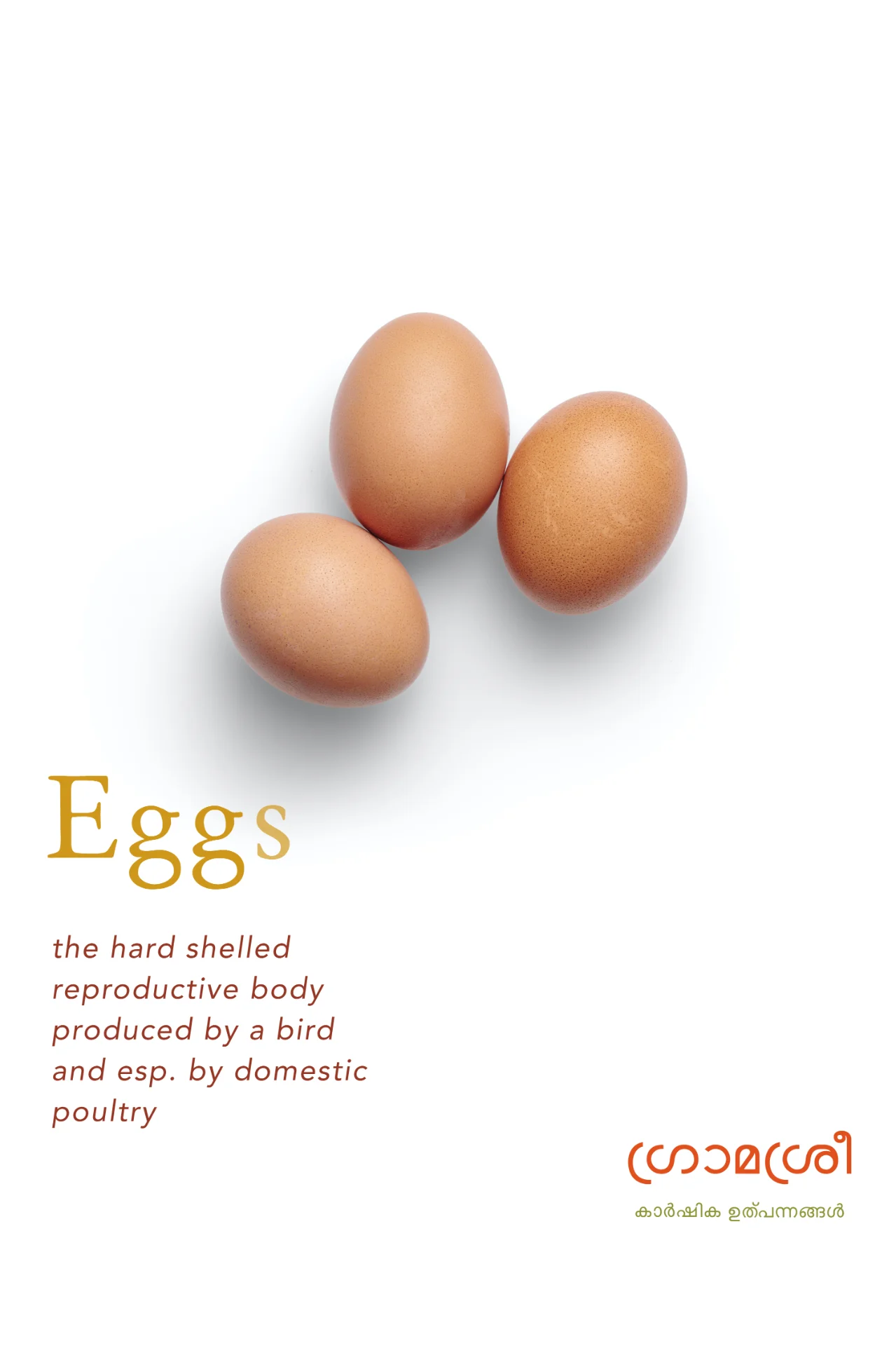 inbound8112325266385950159