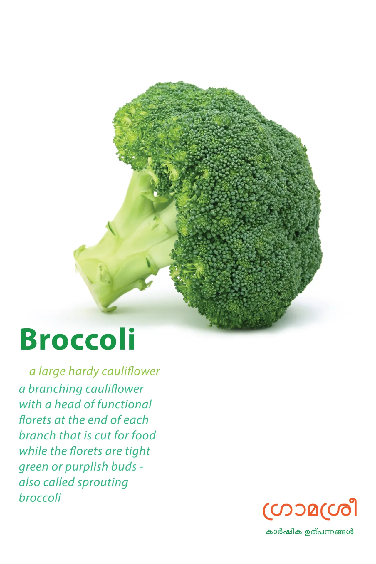 inbound5352266071796362711